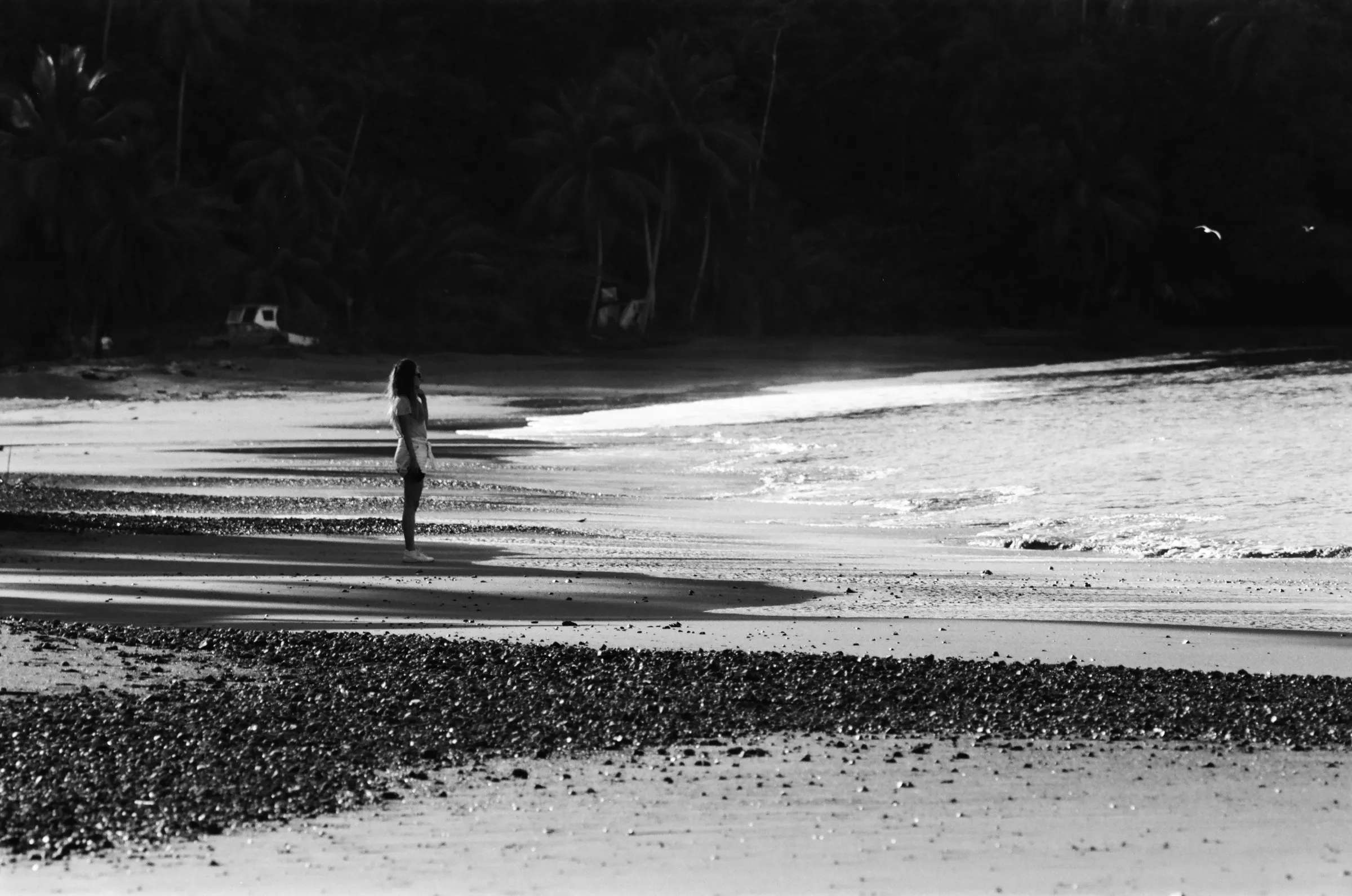 costa-rica-2021, frame 103