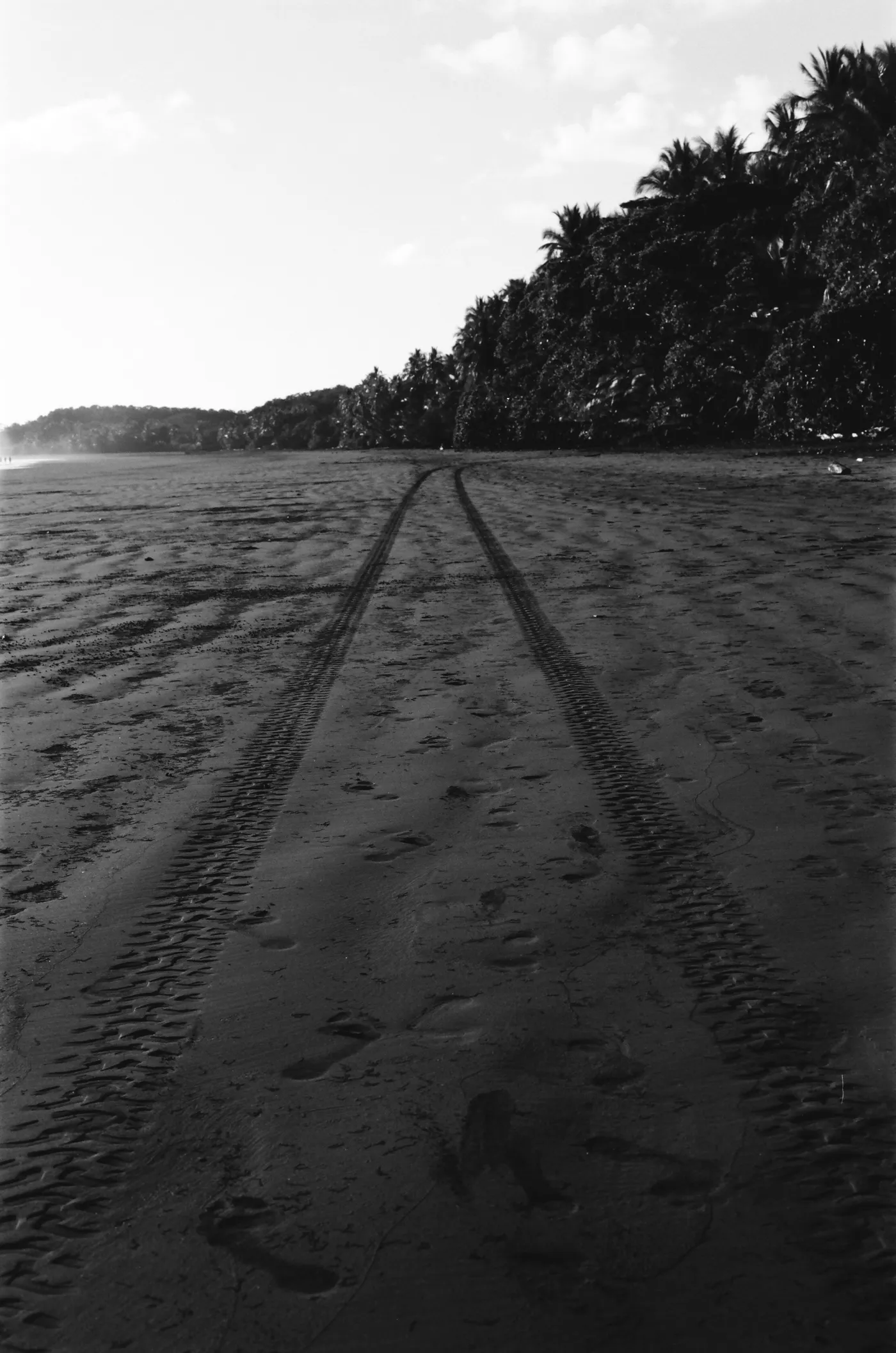 costa-rica-2021, frame 107
