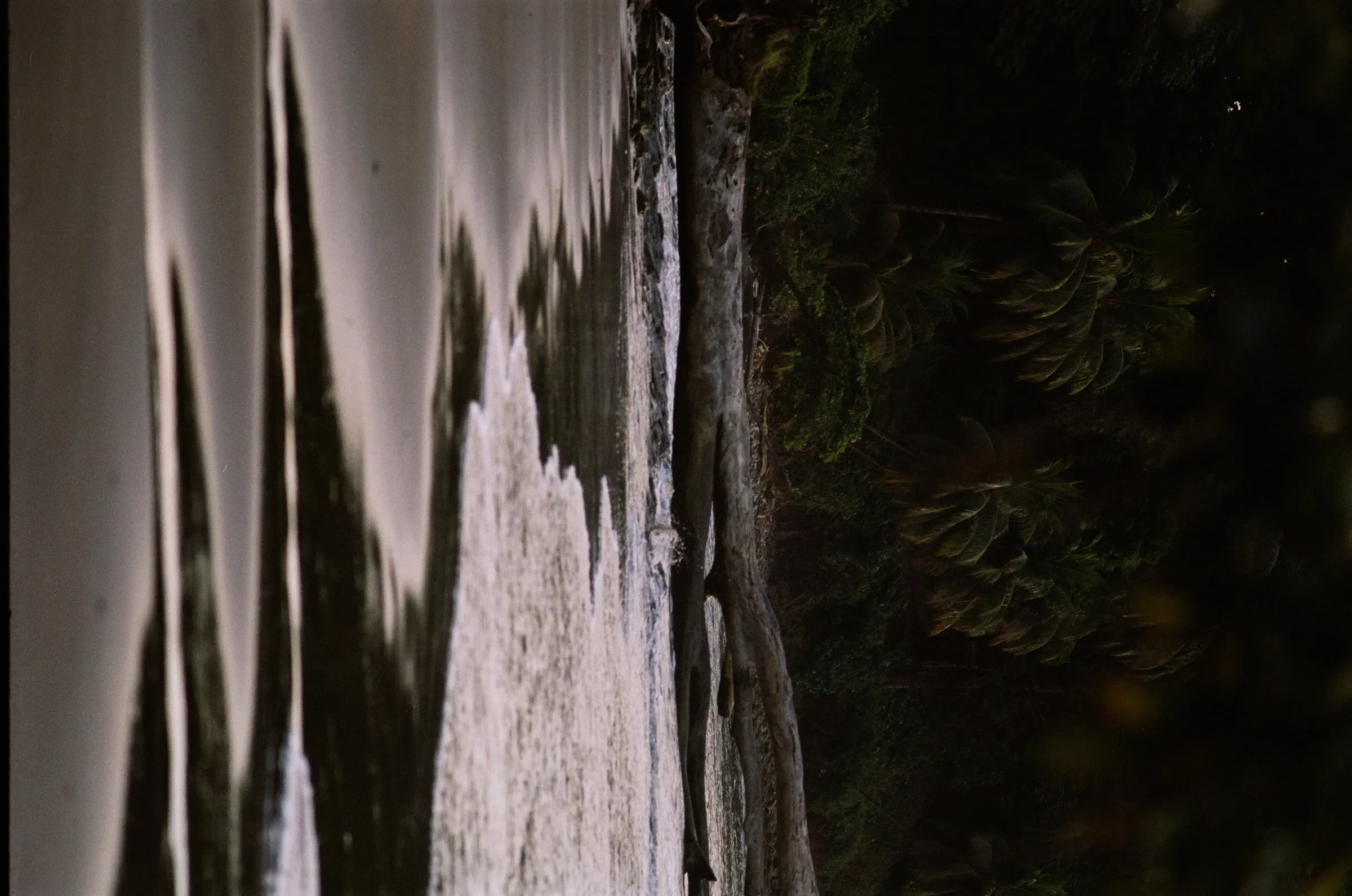 costa-rica-2021, frame 65