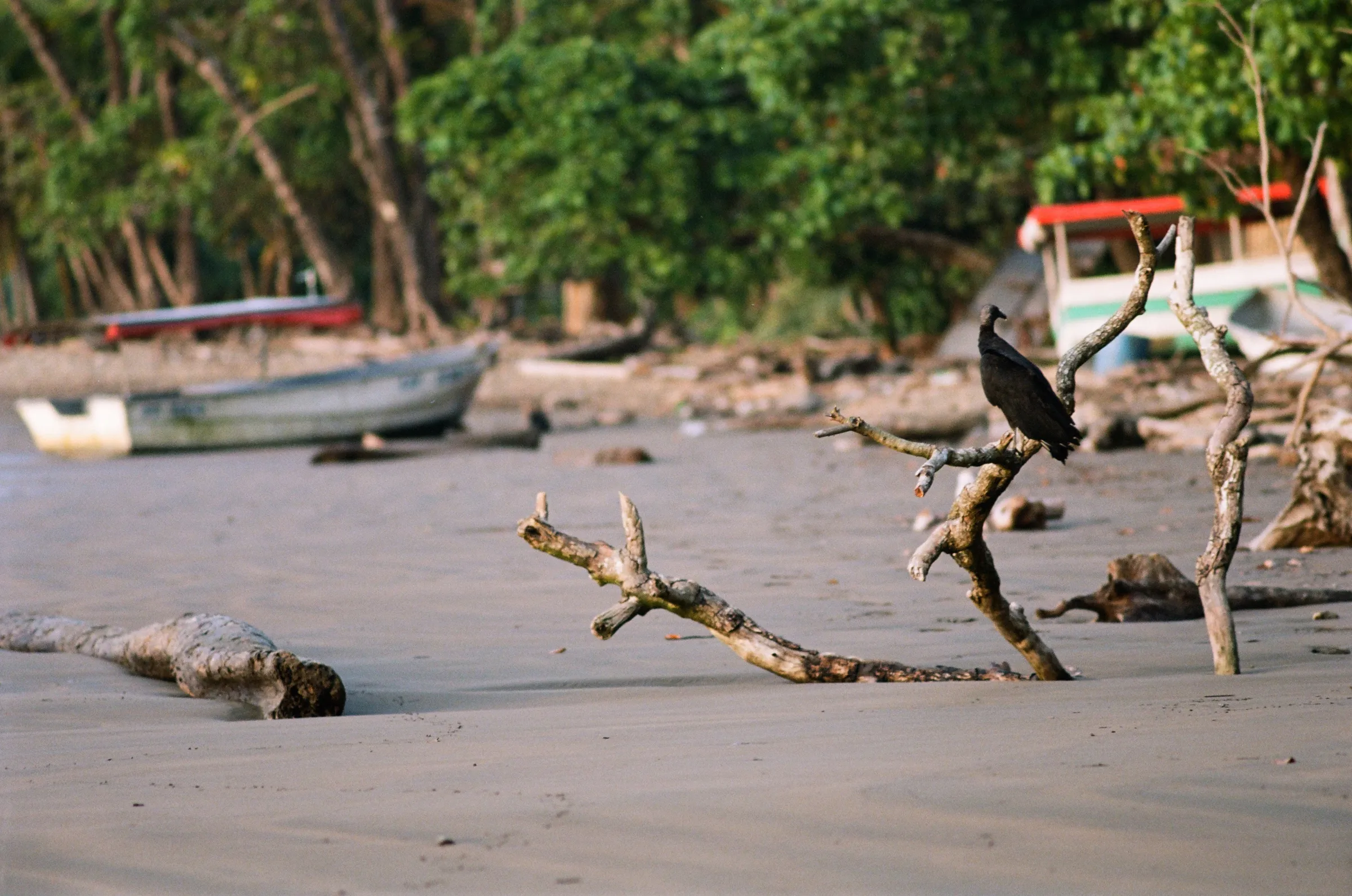 costa-rica-2021, frame 75