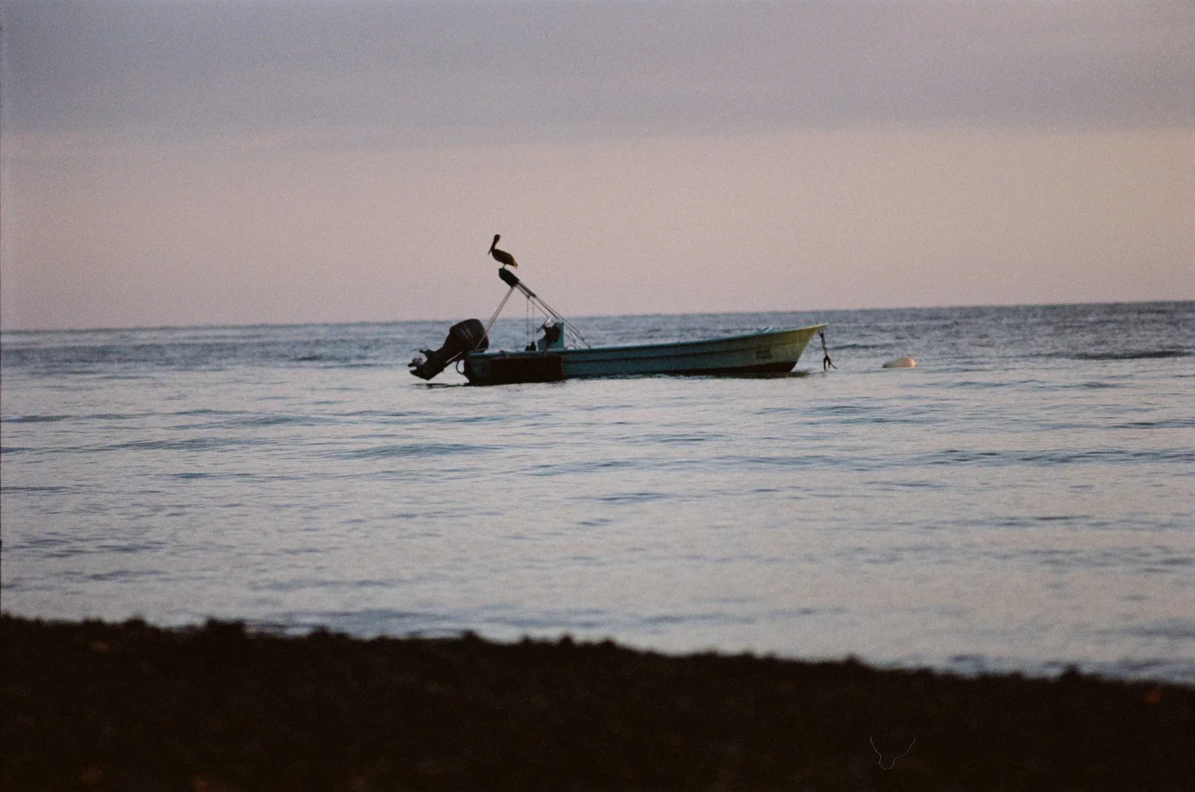 costa-rica-2021, frame 81