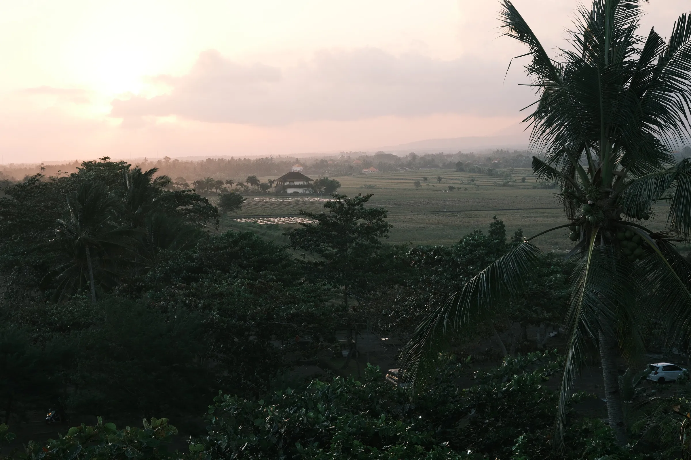 Rice paddies, blue hour