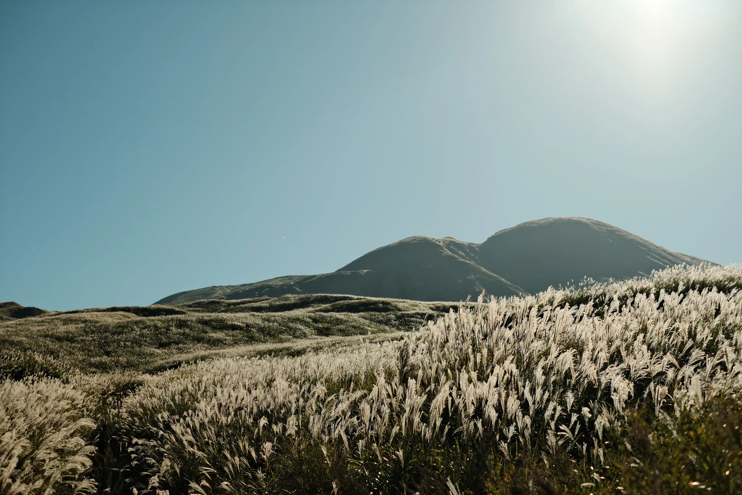 japan-2024, frame 417