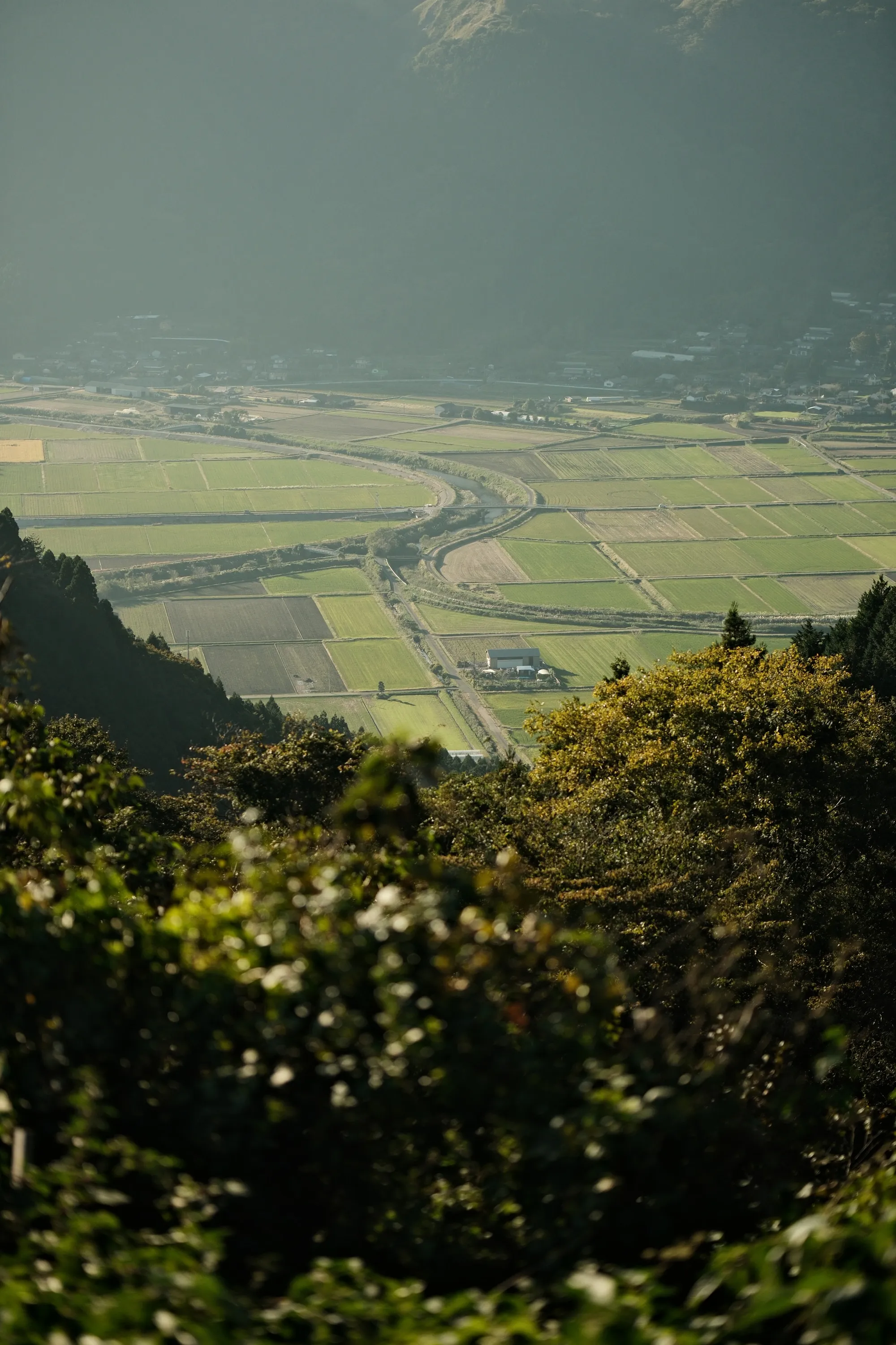 japan-2024, frame 434