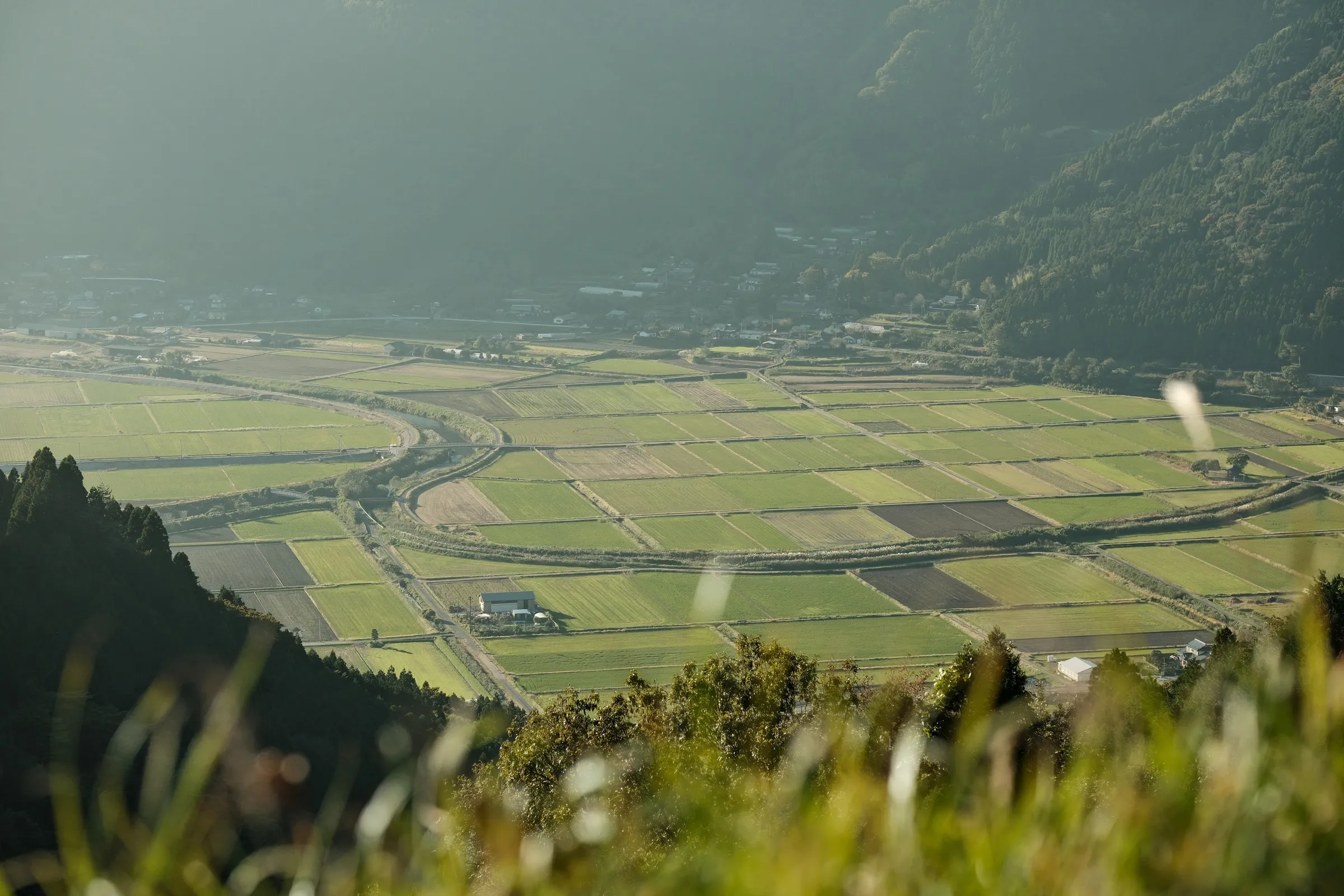 japan-2024, frame 435