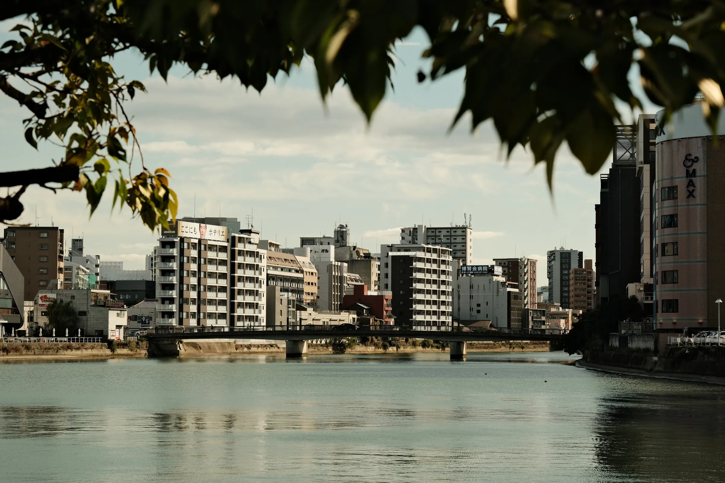 japan-2024, frame 538