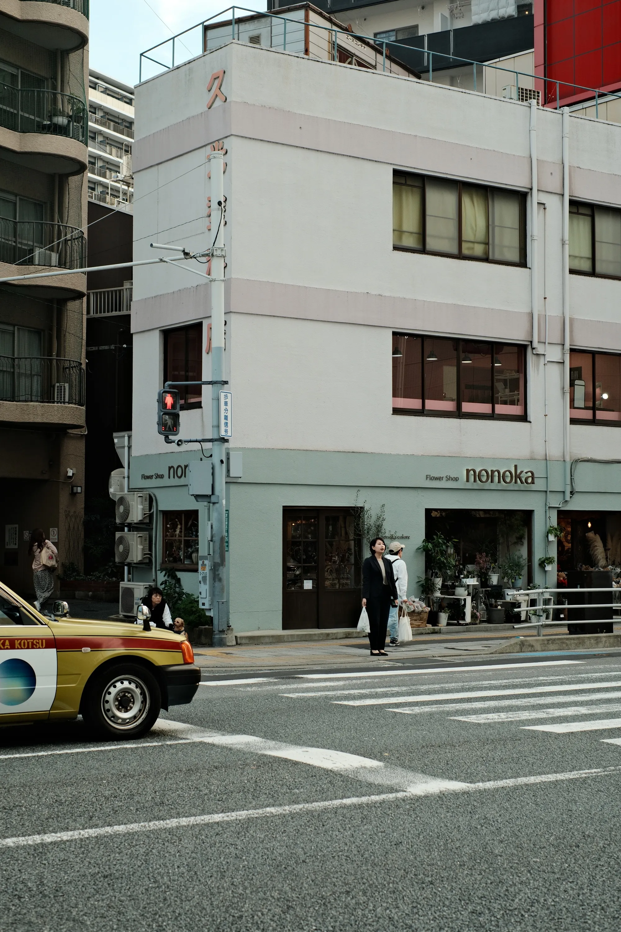 japan-2024, frame 541
