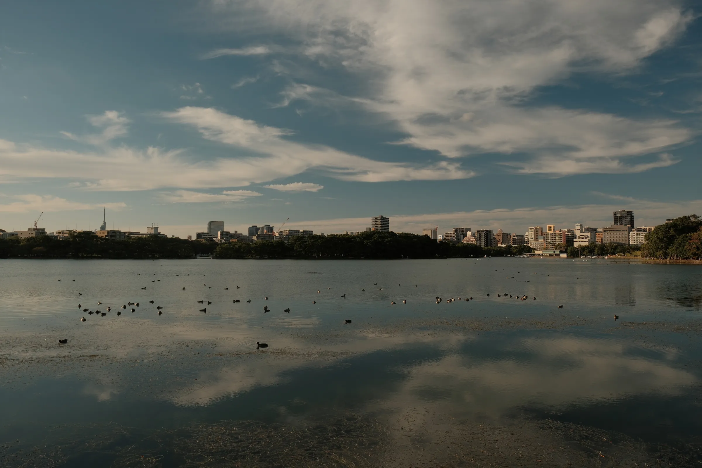 japan-2024, frame 545