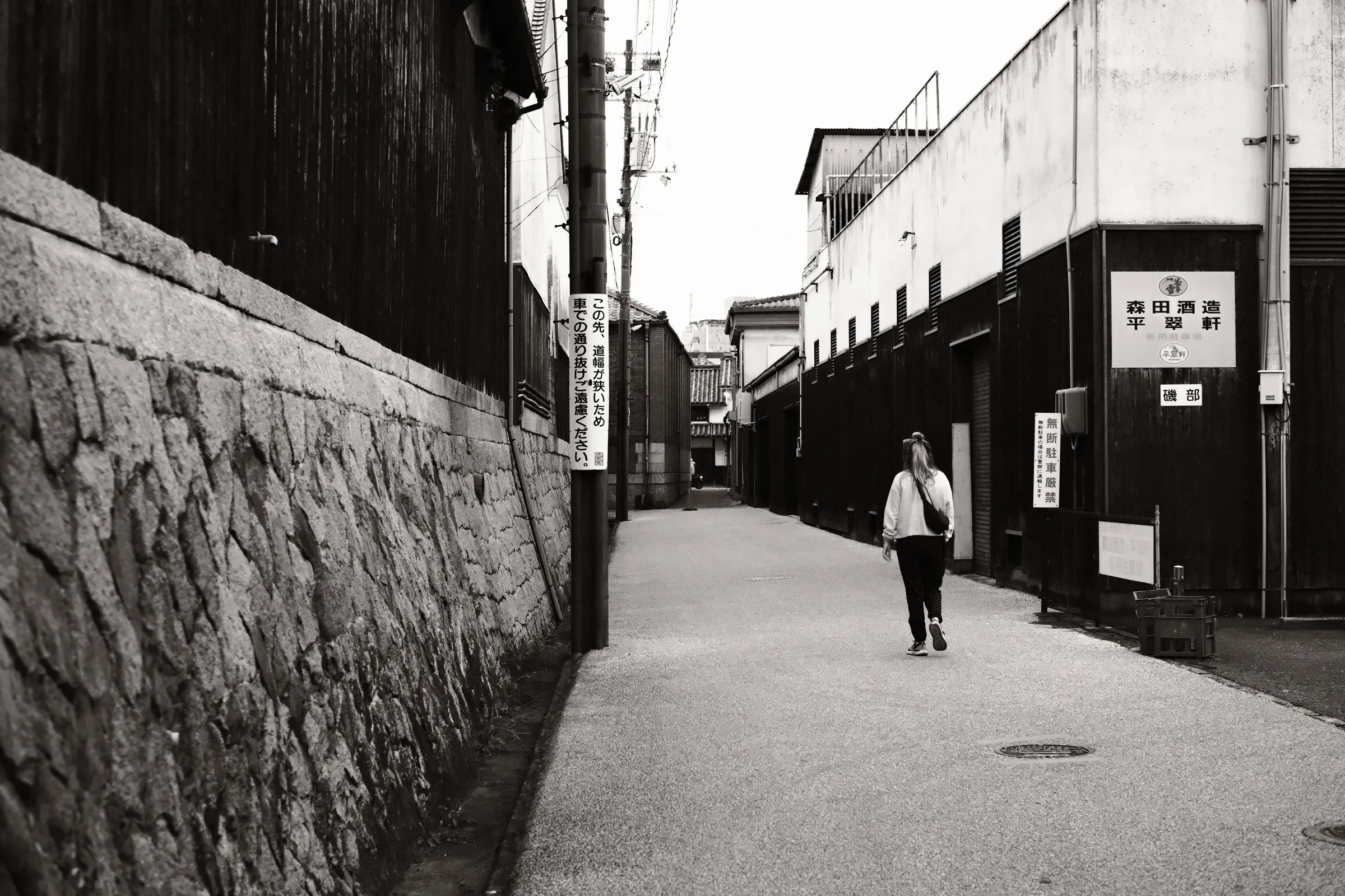 japan-2024, frame 287