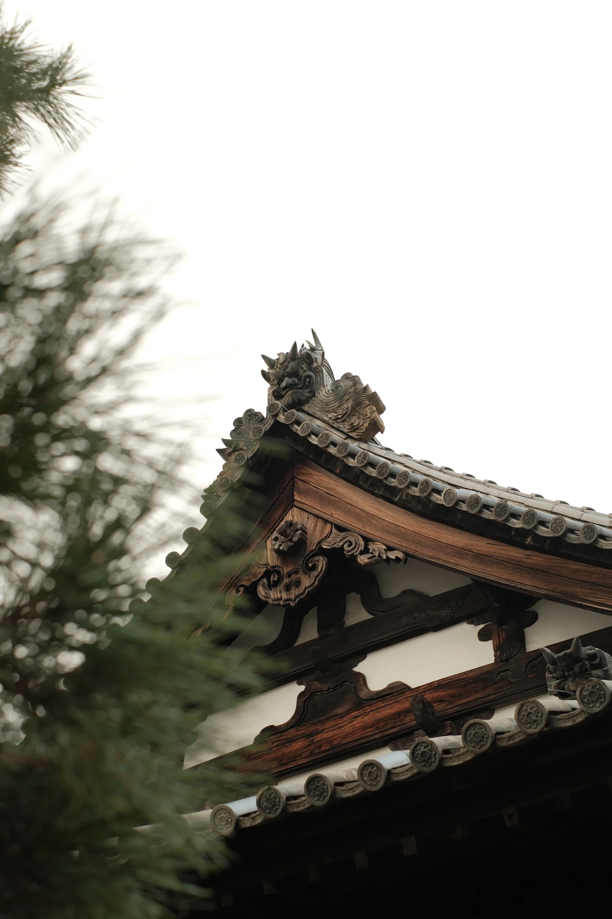 japan-2024, frame 292