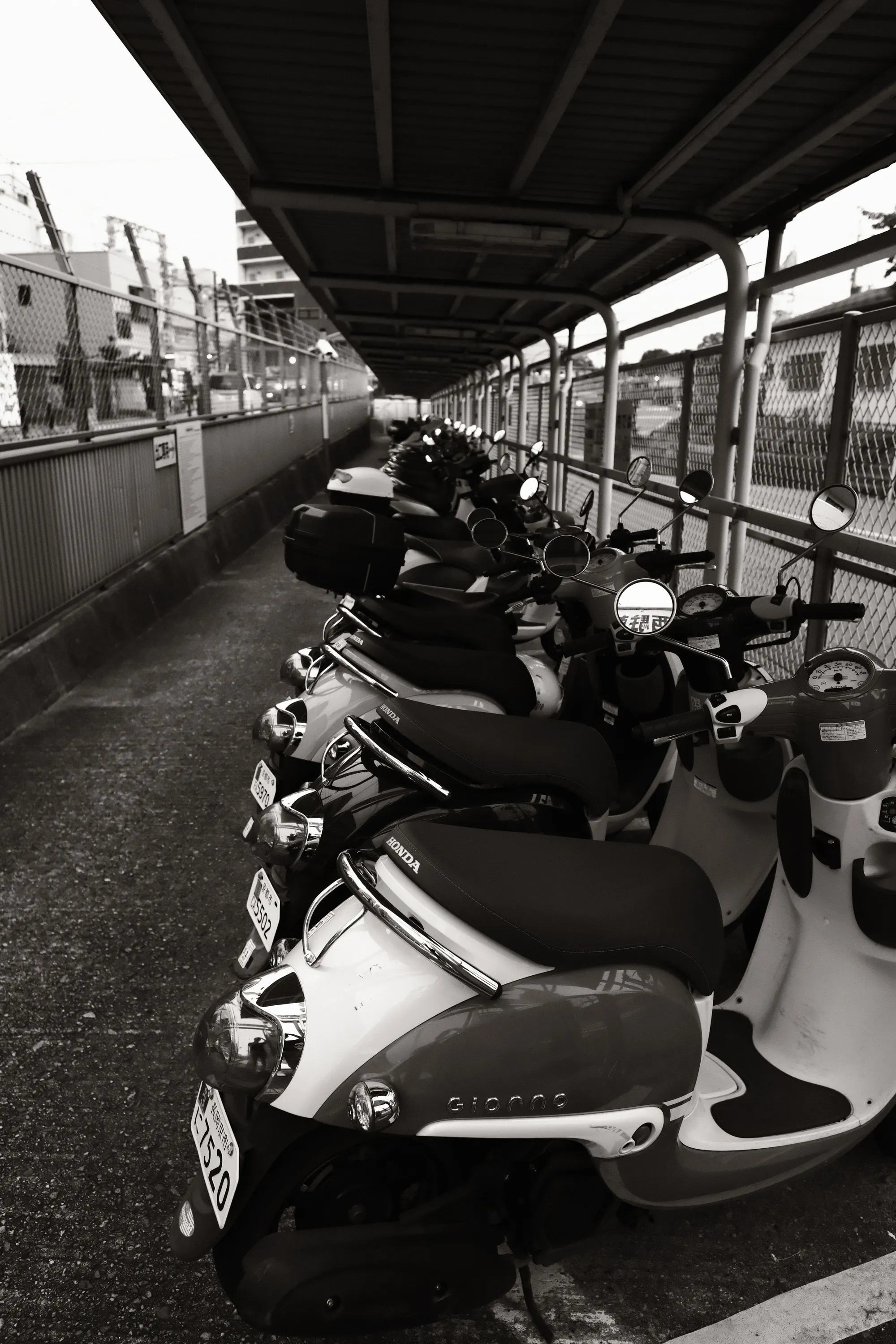 japan-2024, frame 108