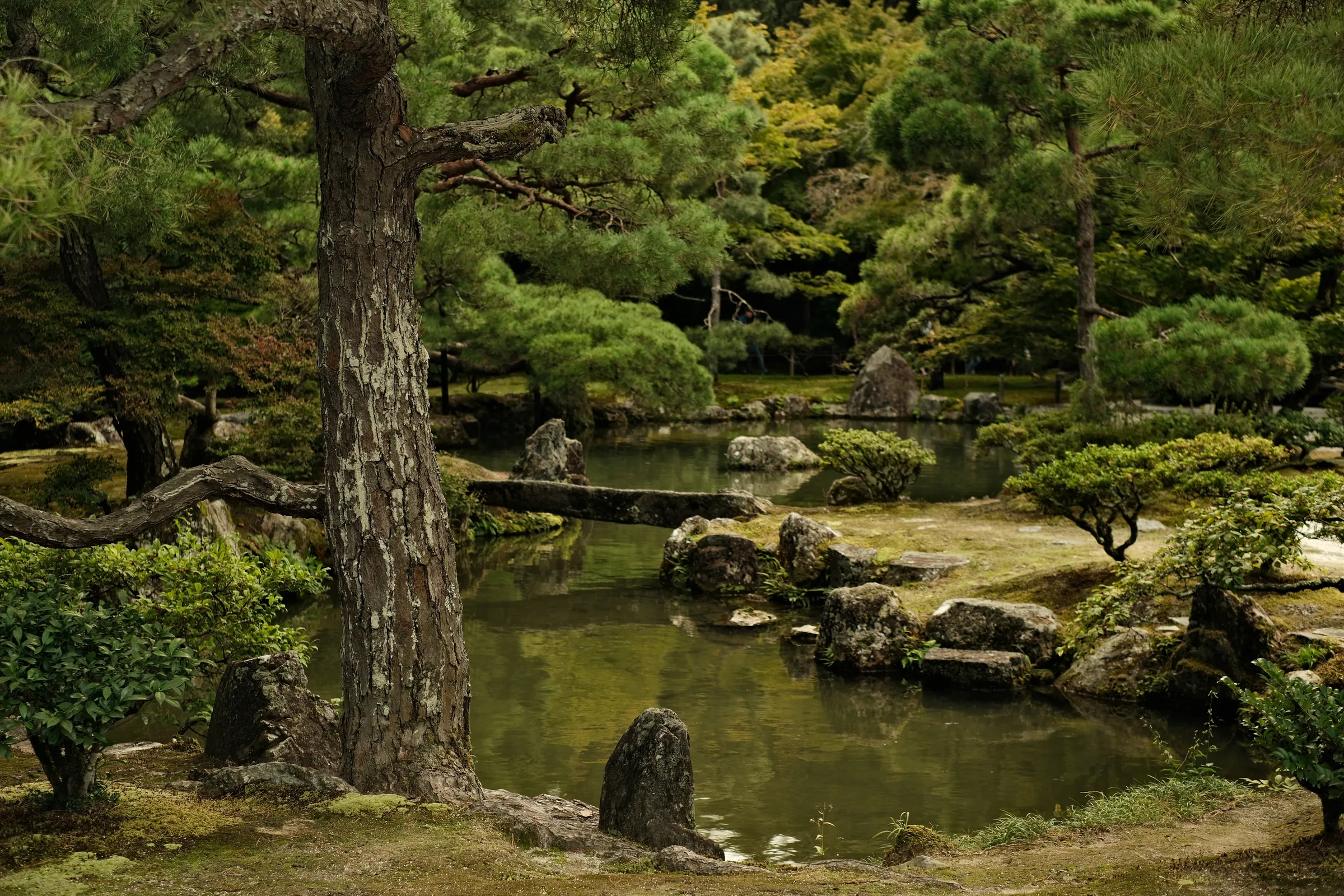 japan-2024, frame 129