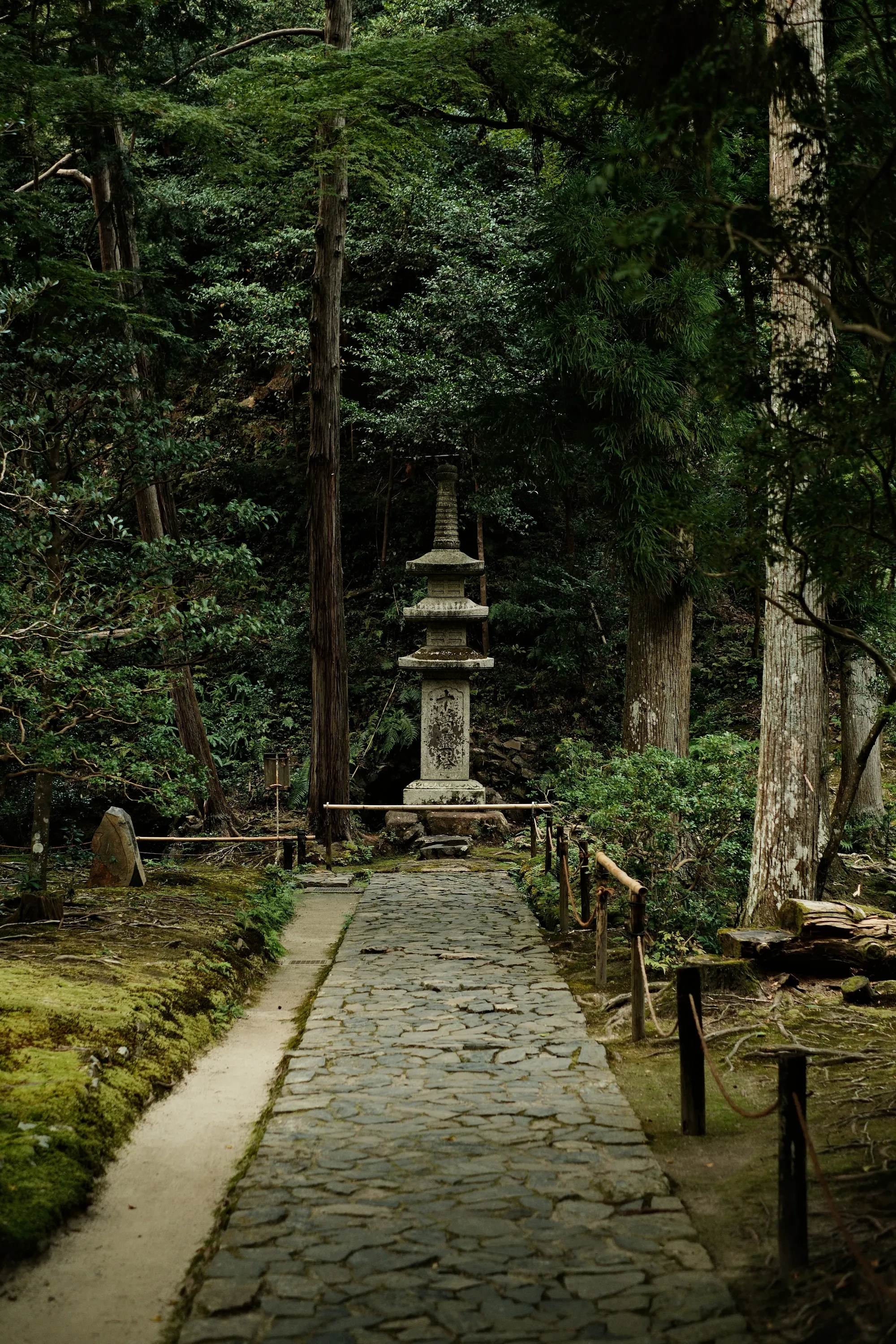 japan-2024, frame 131