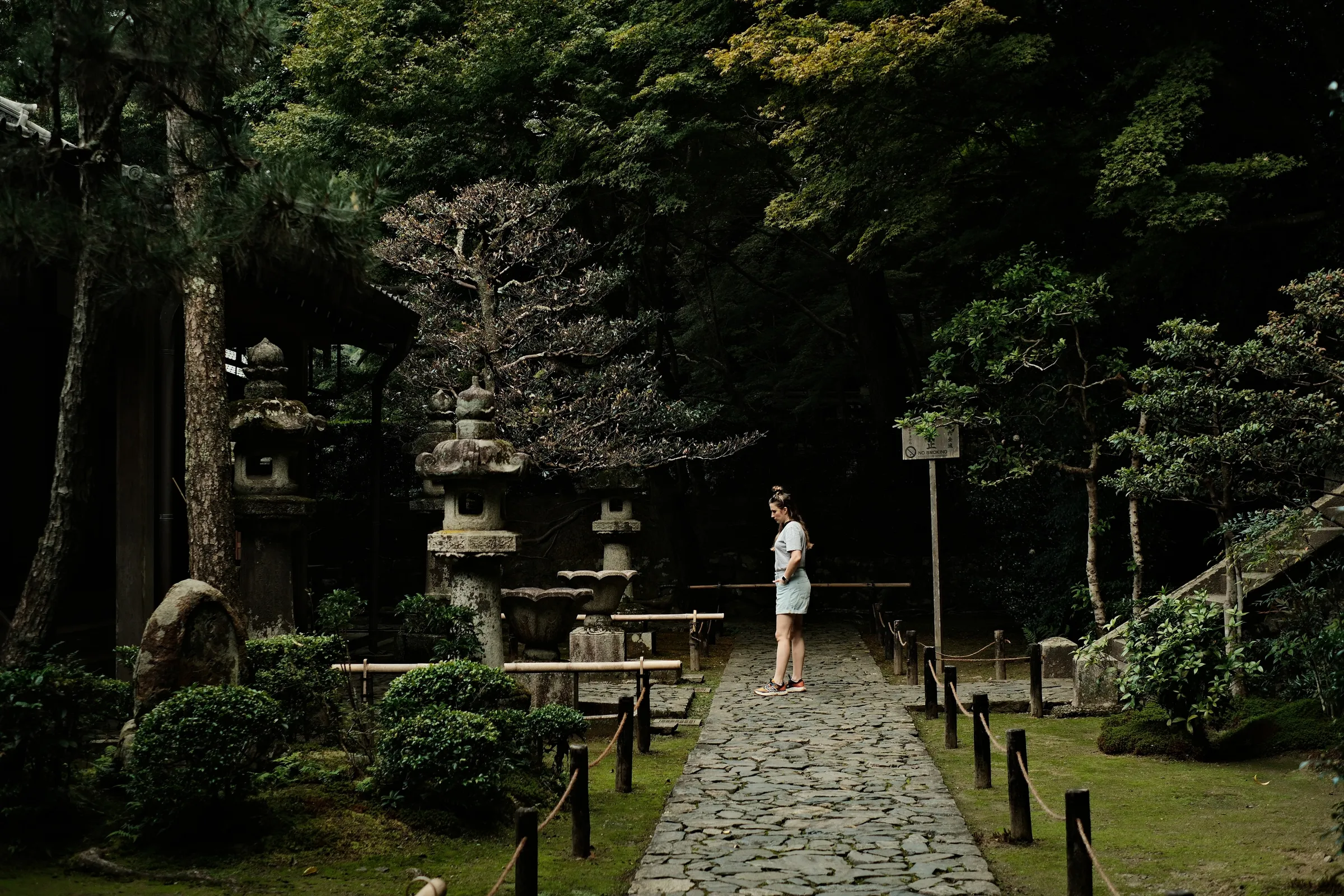 japan-2024, frame 132