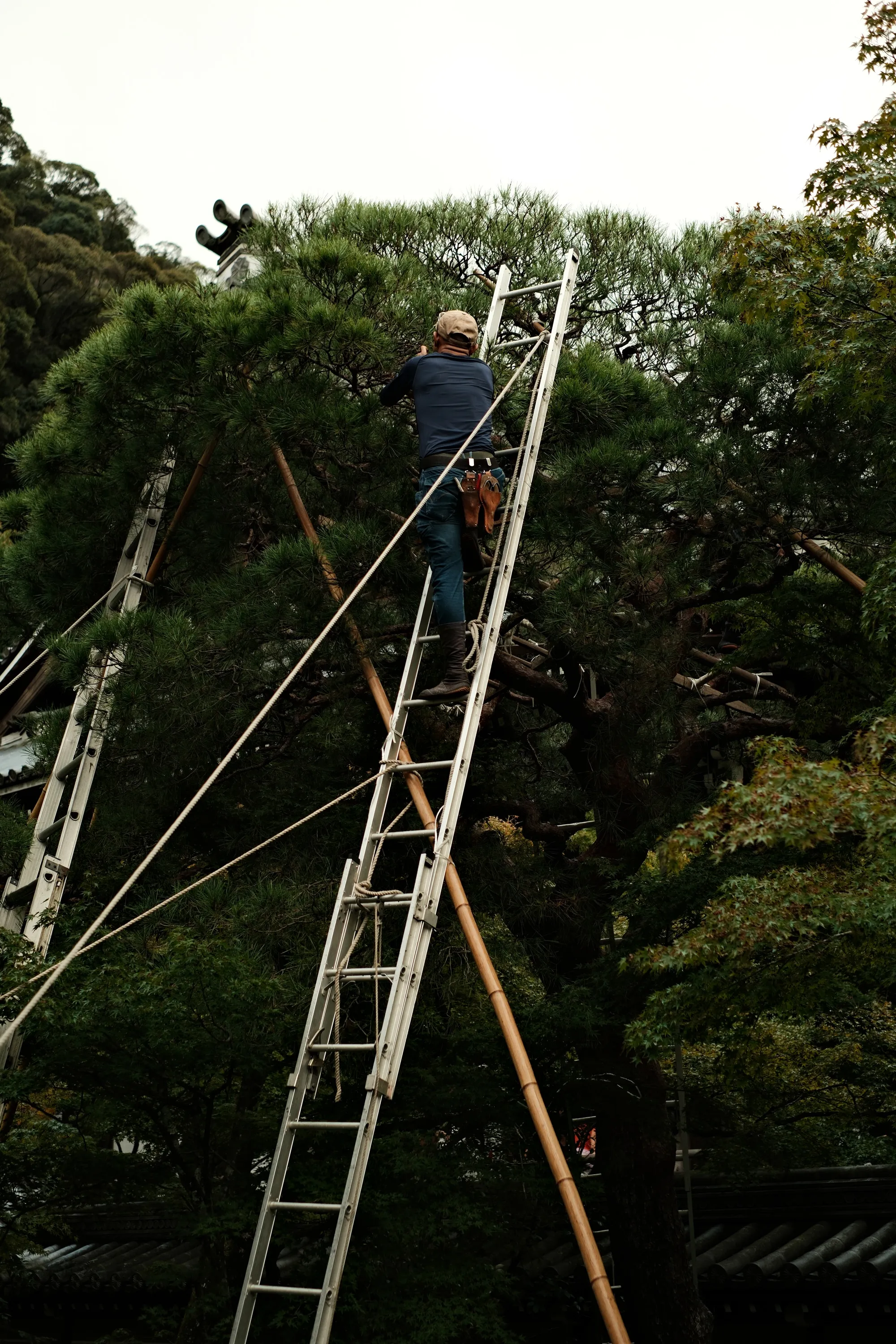 japan-2024, frame 134