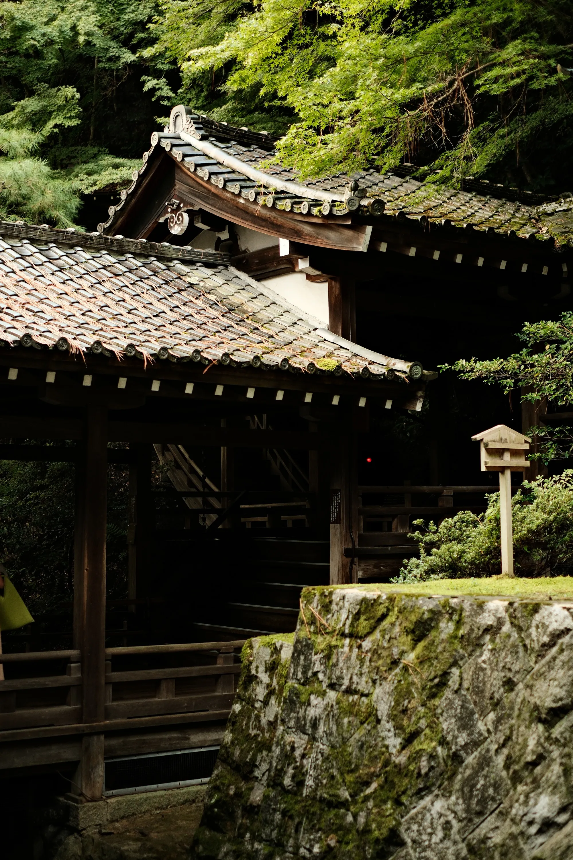 japan-2024, frame 137
