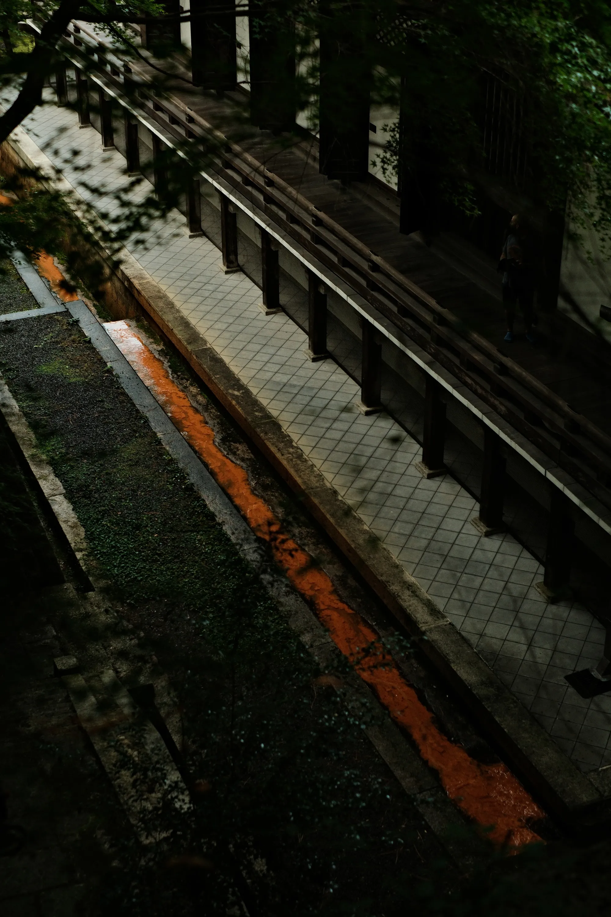 japan-2024, frame 138