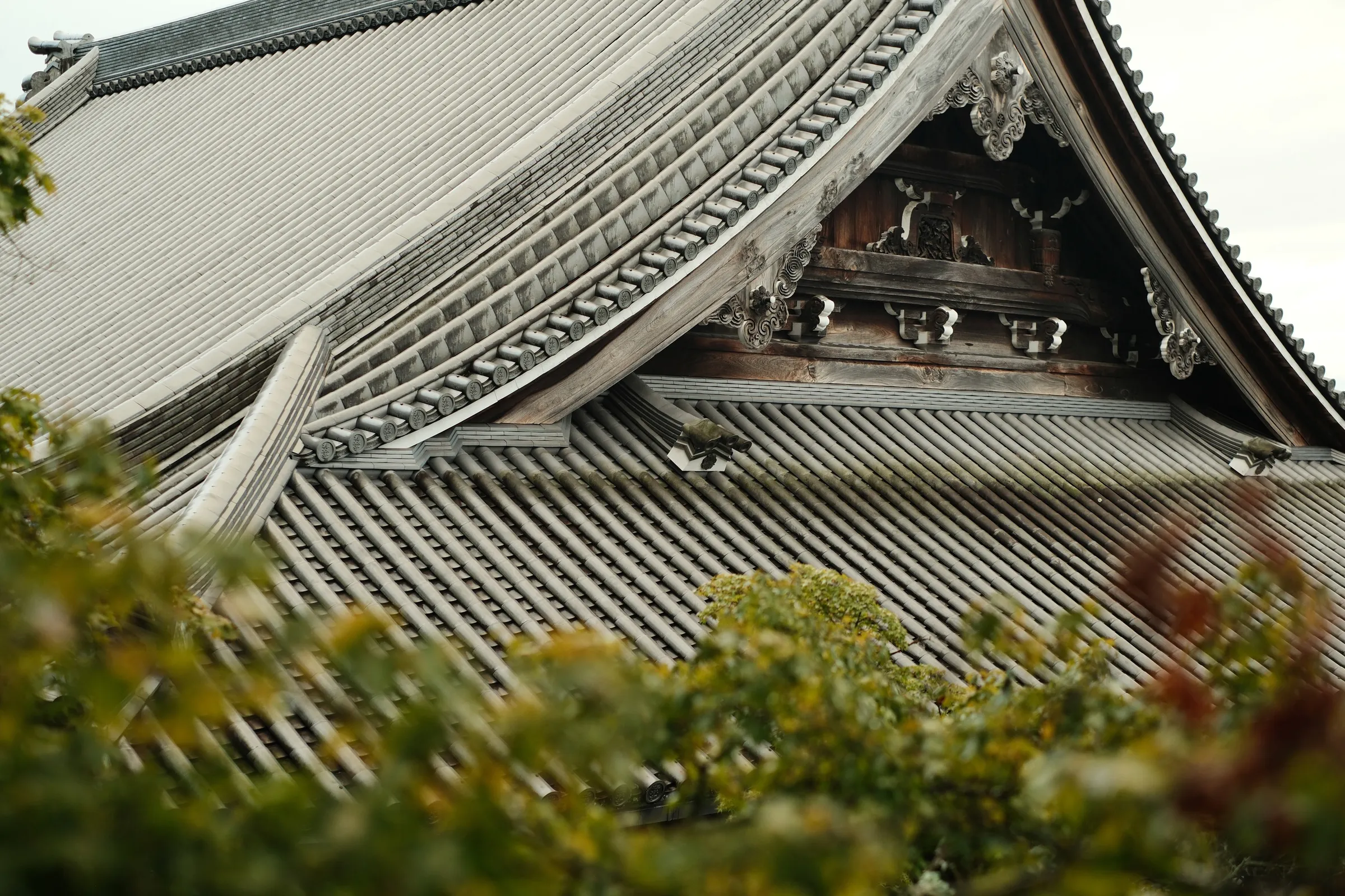 japan-2024, frame 139