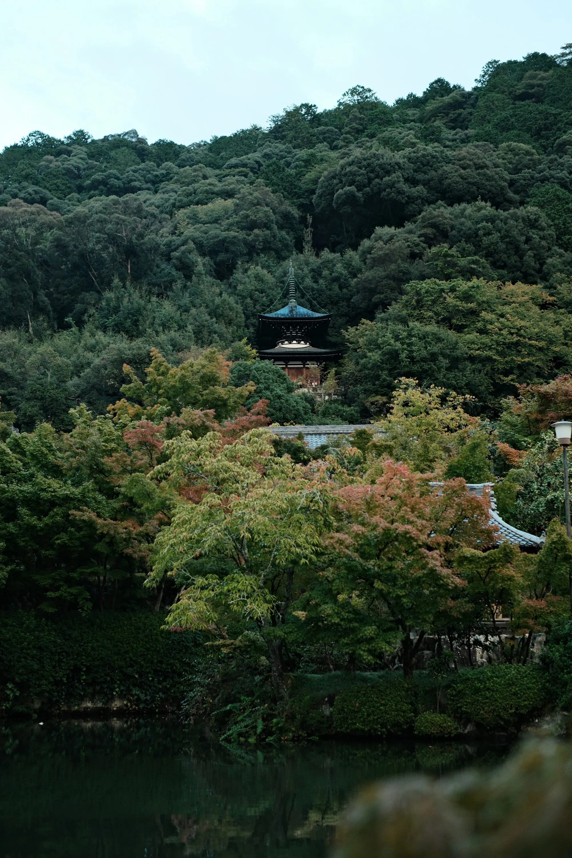 japan-2024, frame 141