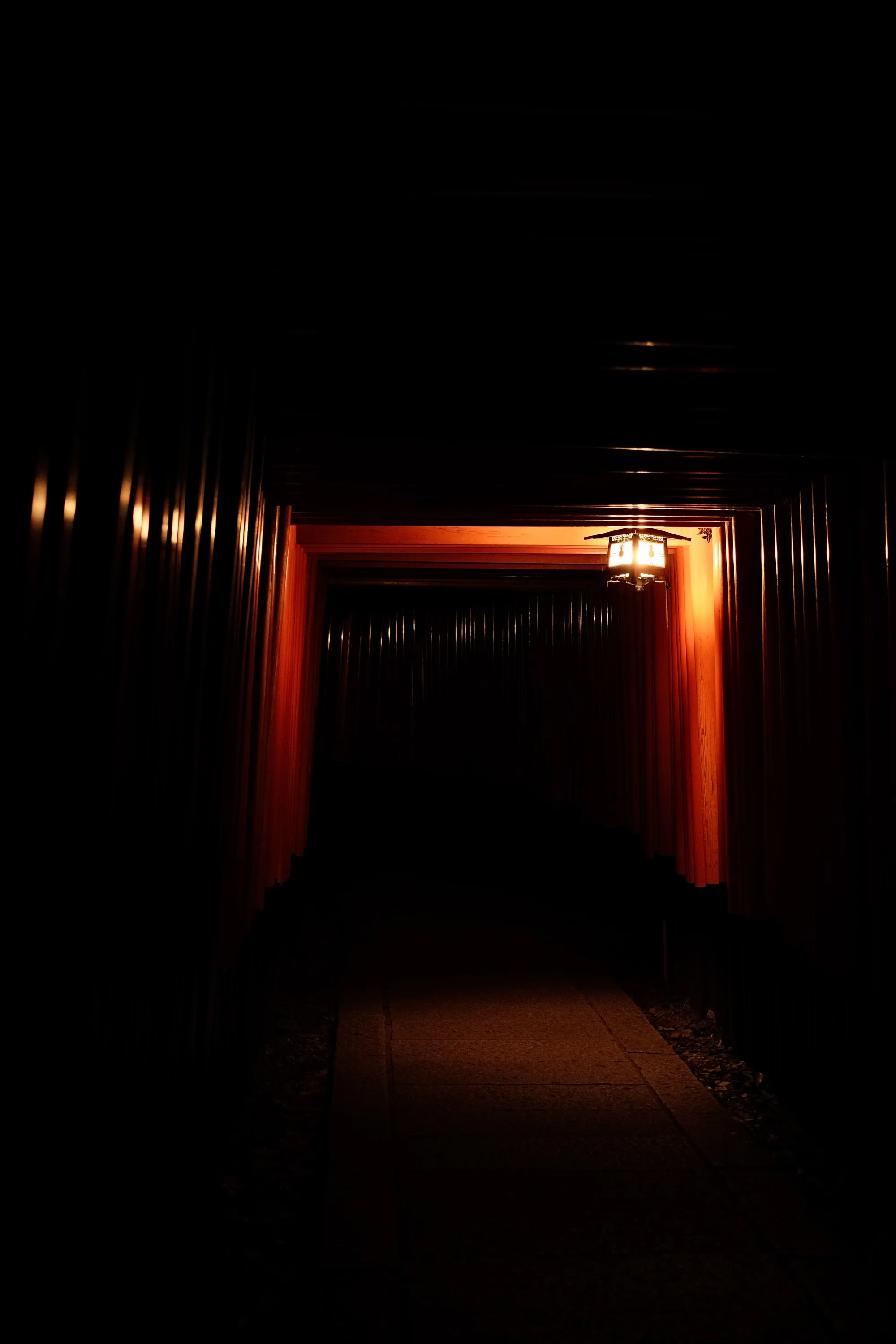 japan-2024, frame 143