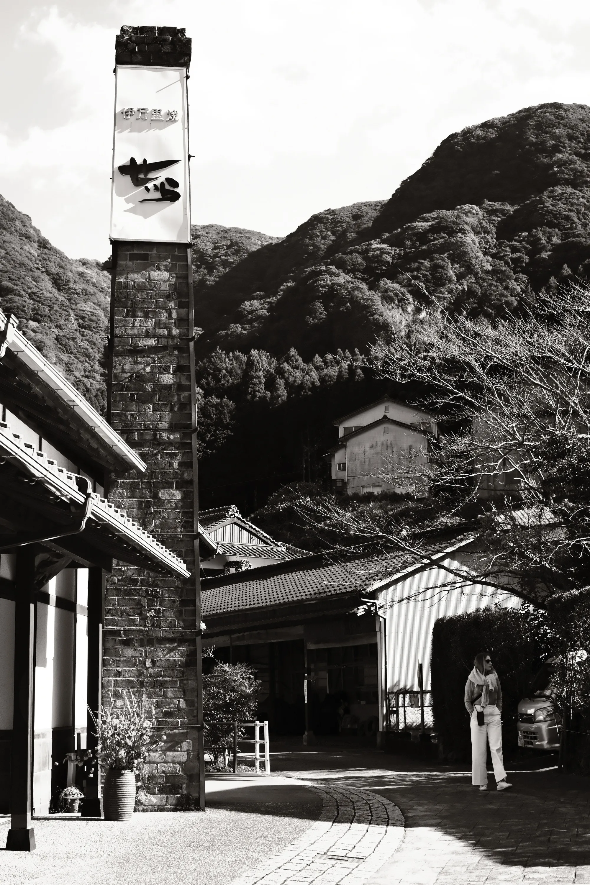 japan-2024, frame 516