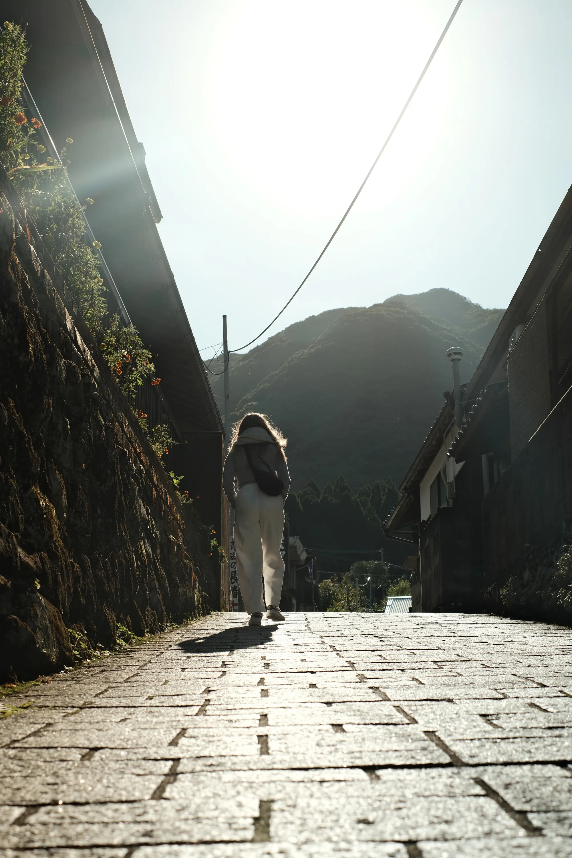 japan-2024, frame 518