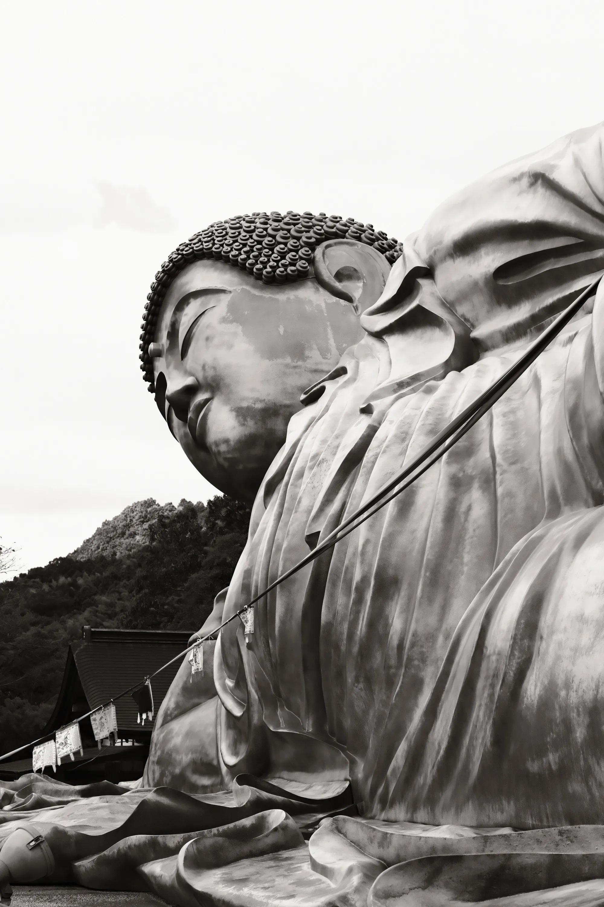 japan-2024, frame 533