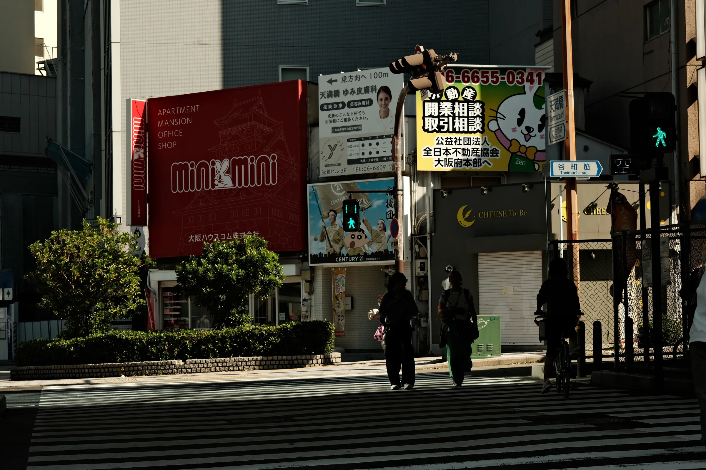 japan-2024, frame 166