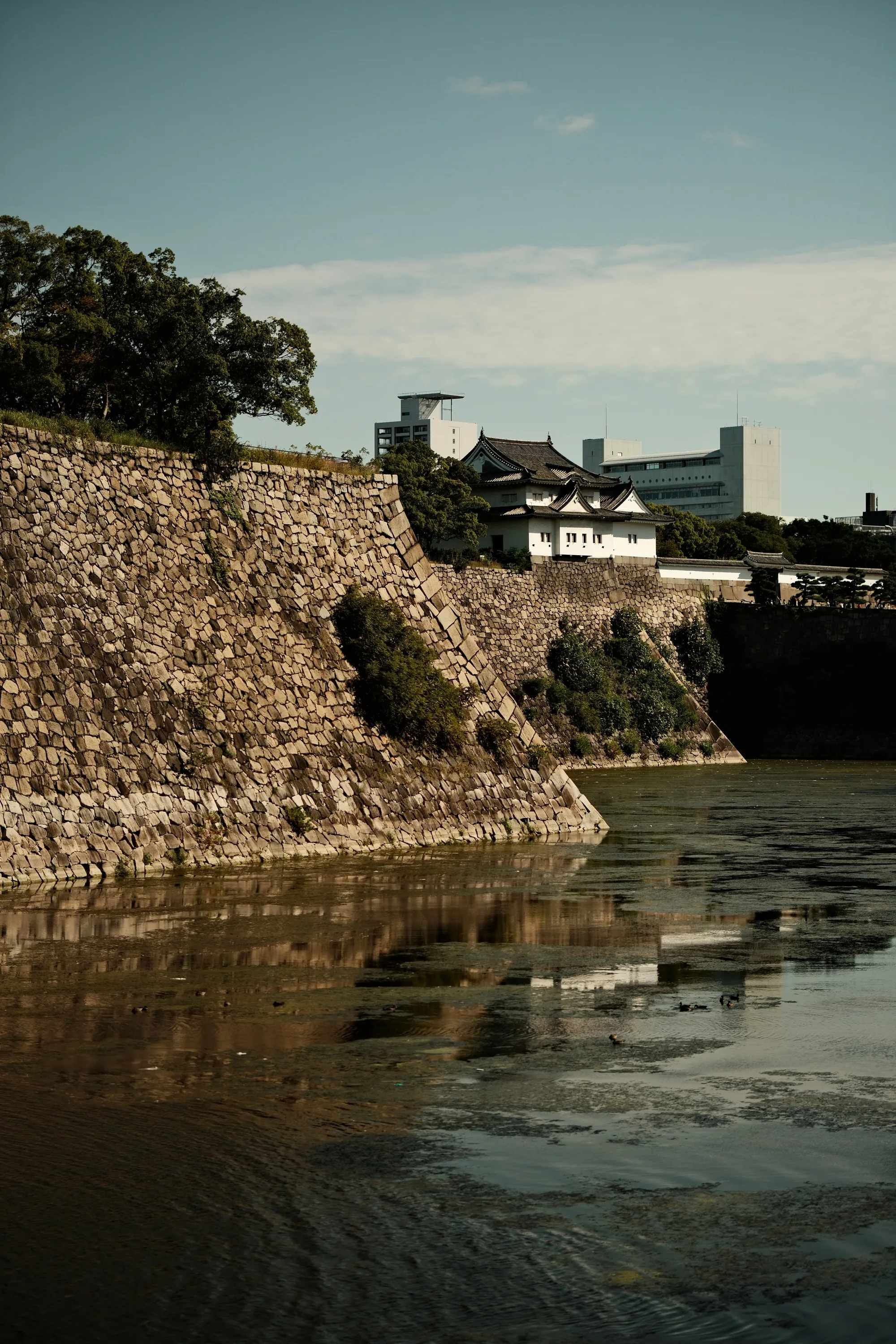 japan-2024, frame 169