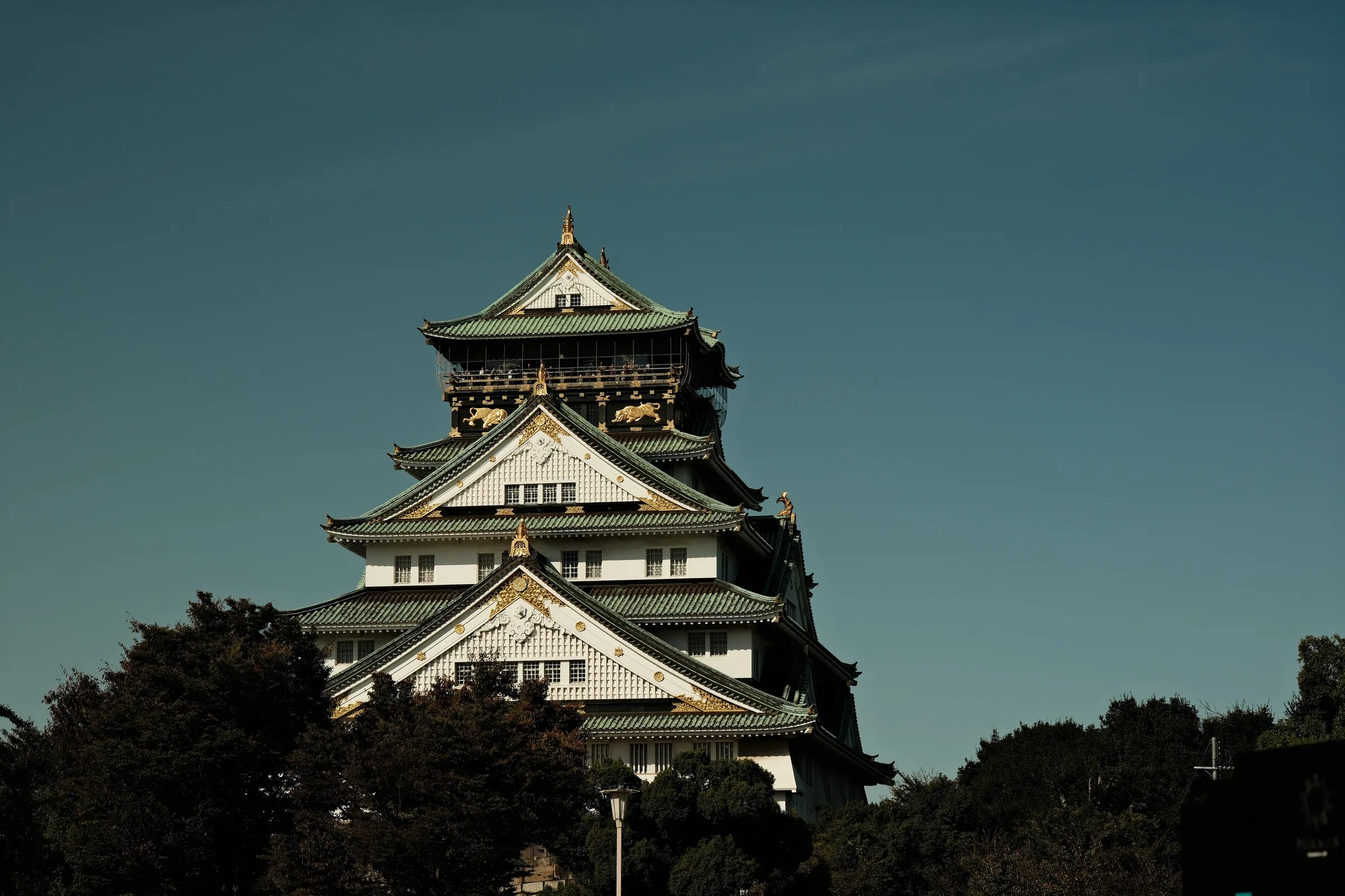 japan-2024, frame 170