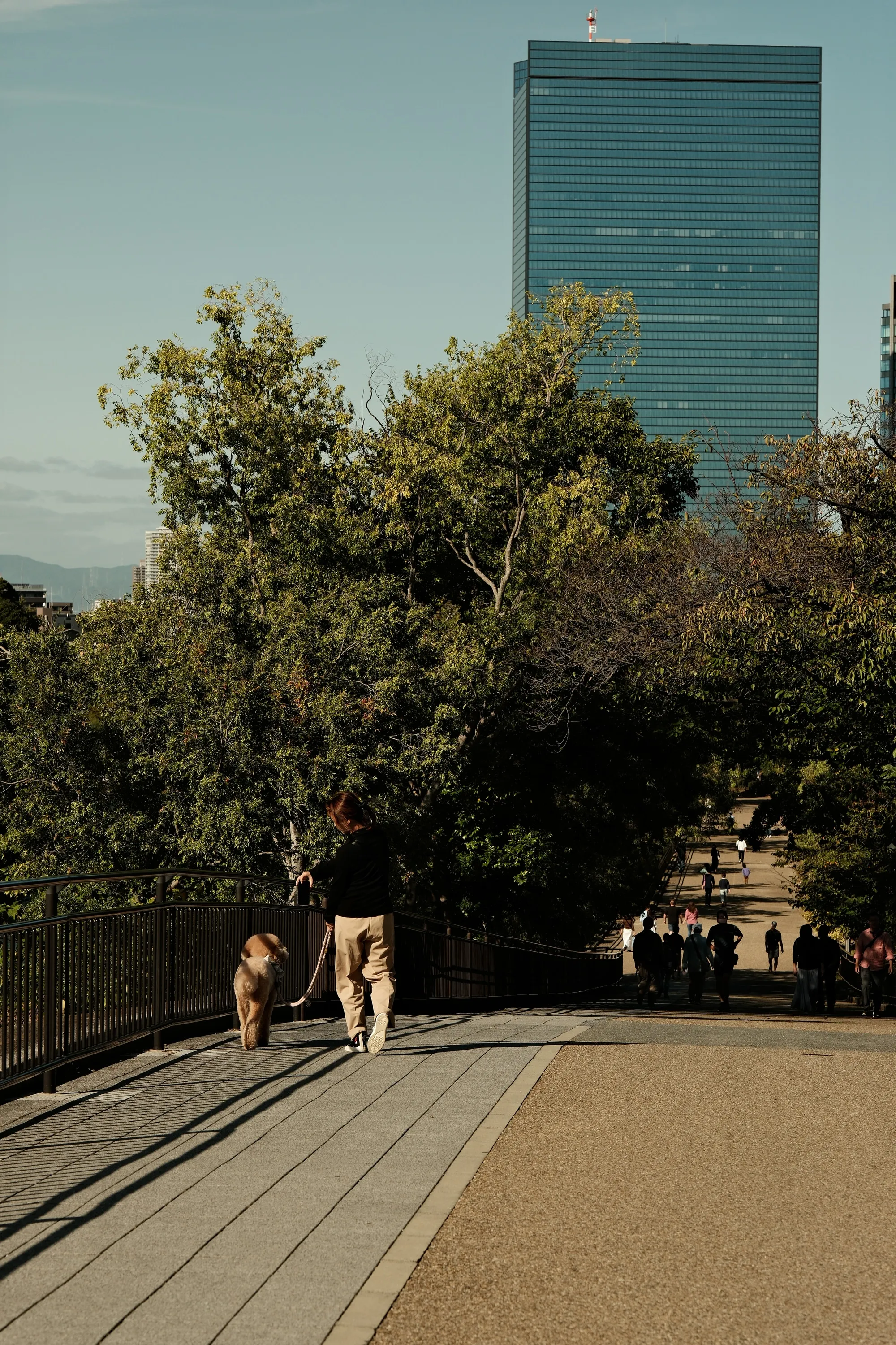 japan-2024, frame 172