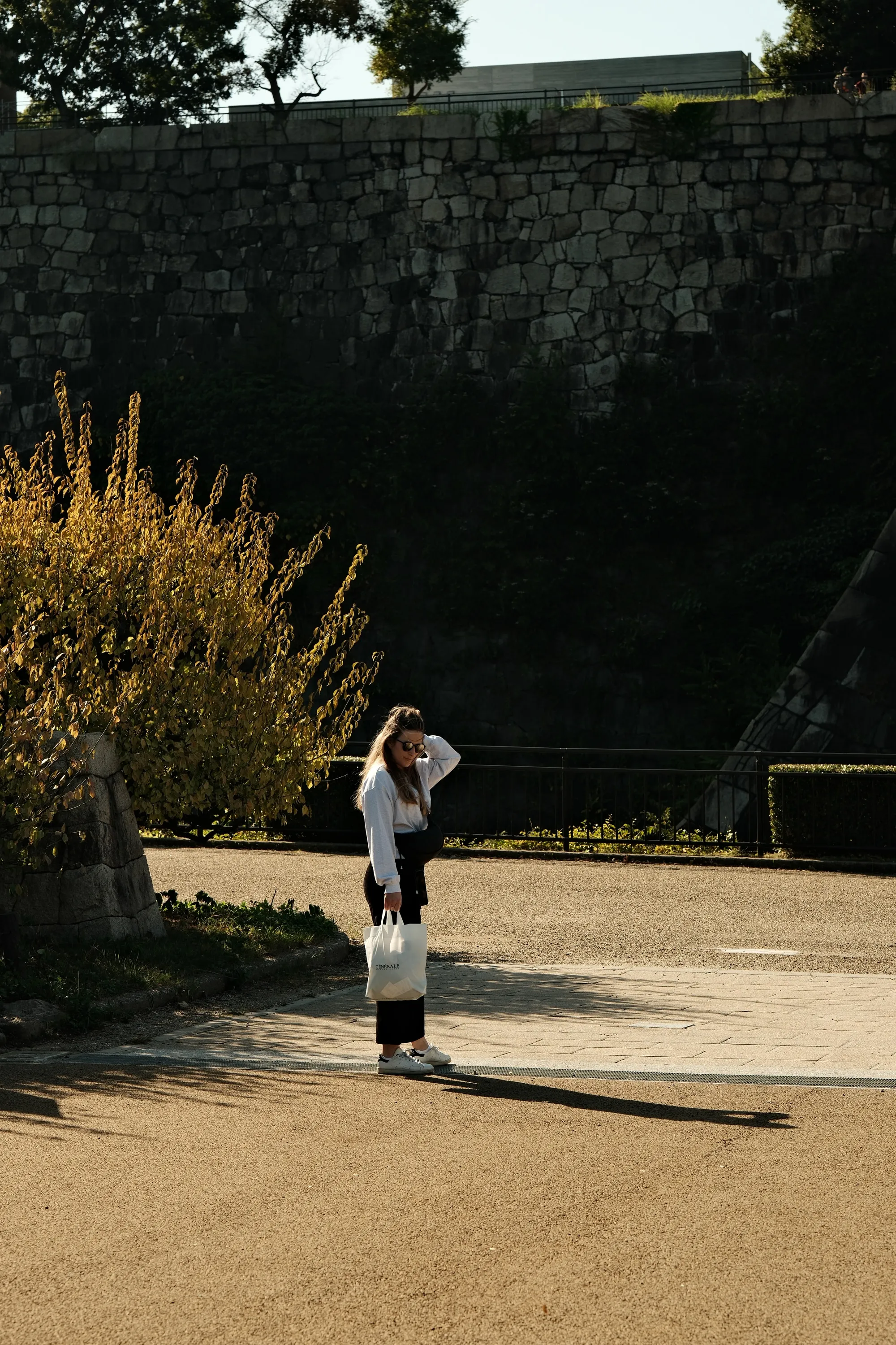 japan-2024, frame 174