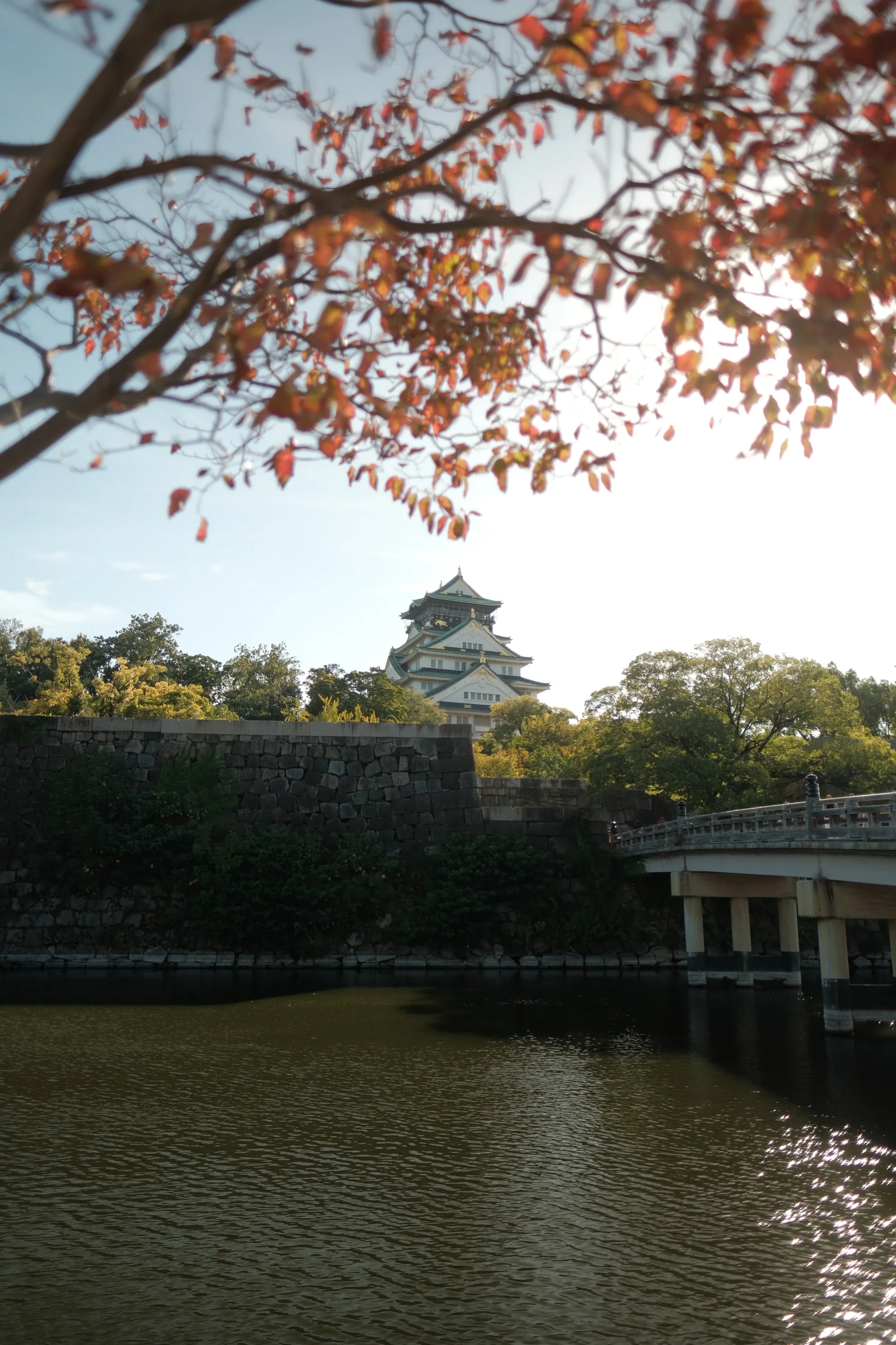 japan-2024, frame 178