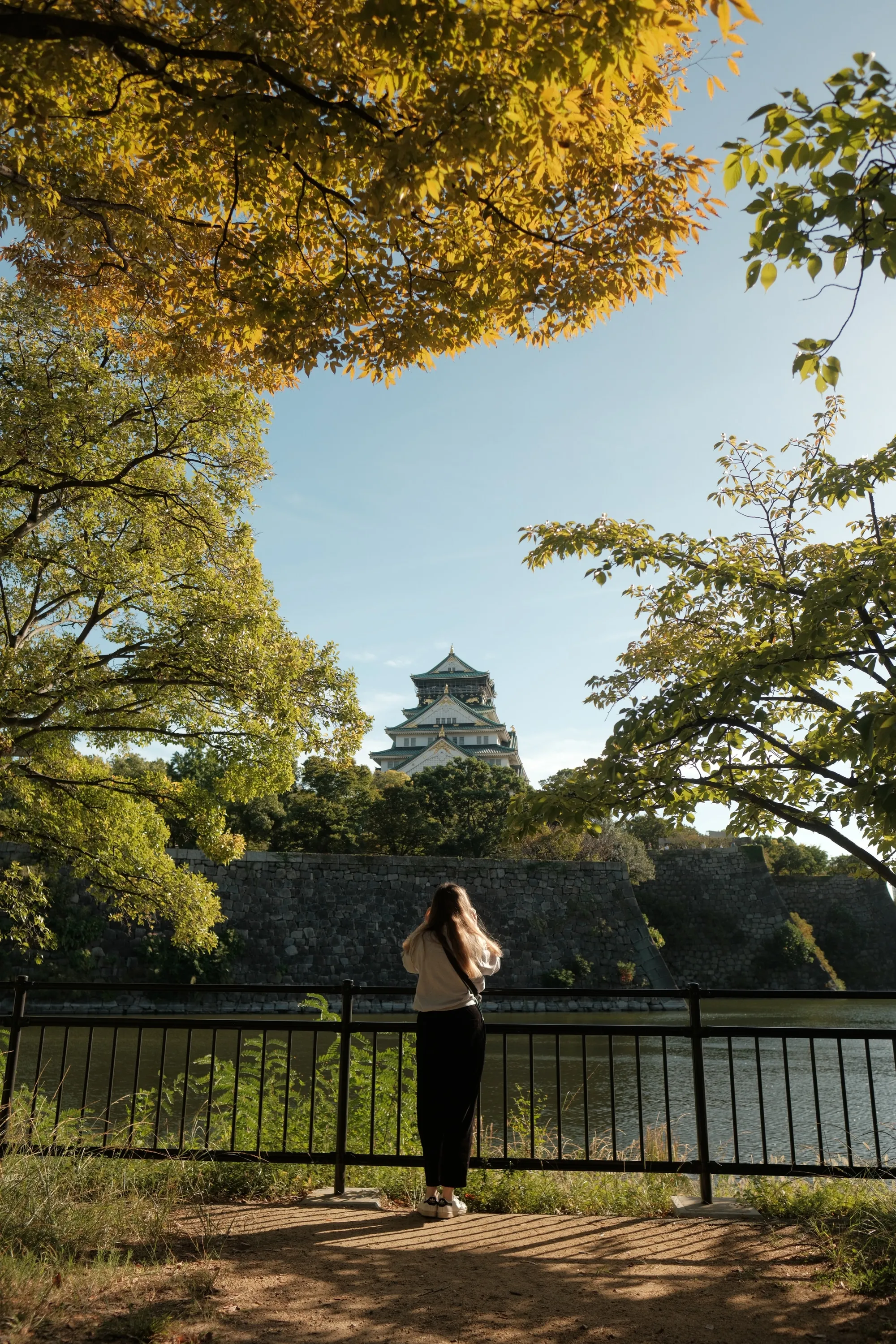 japan-2024, frame 179