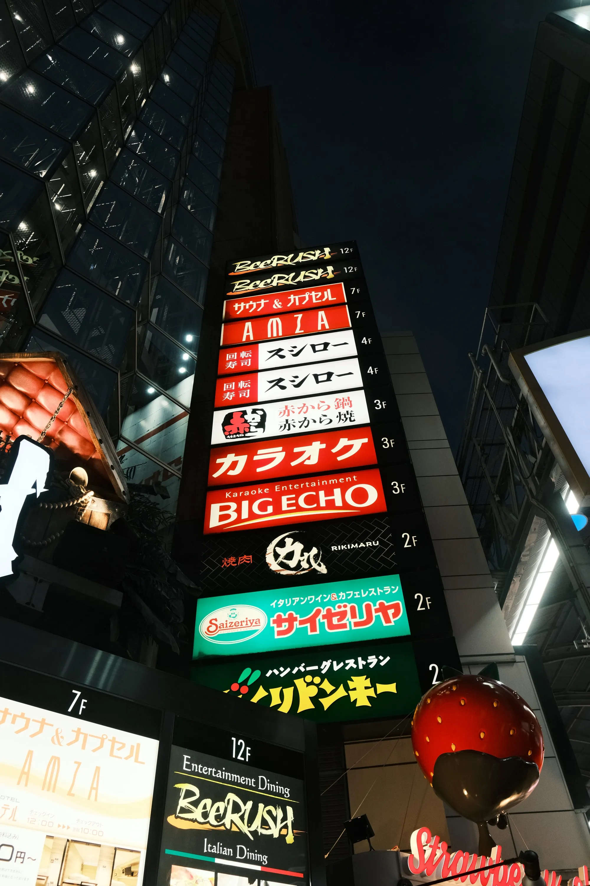japan-2024, frame 186