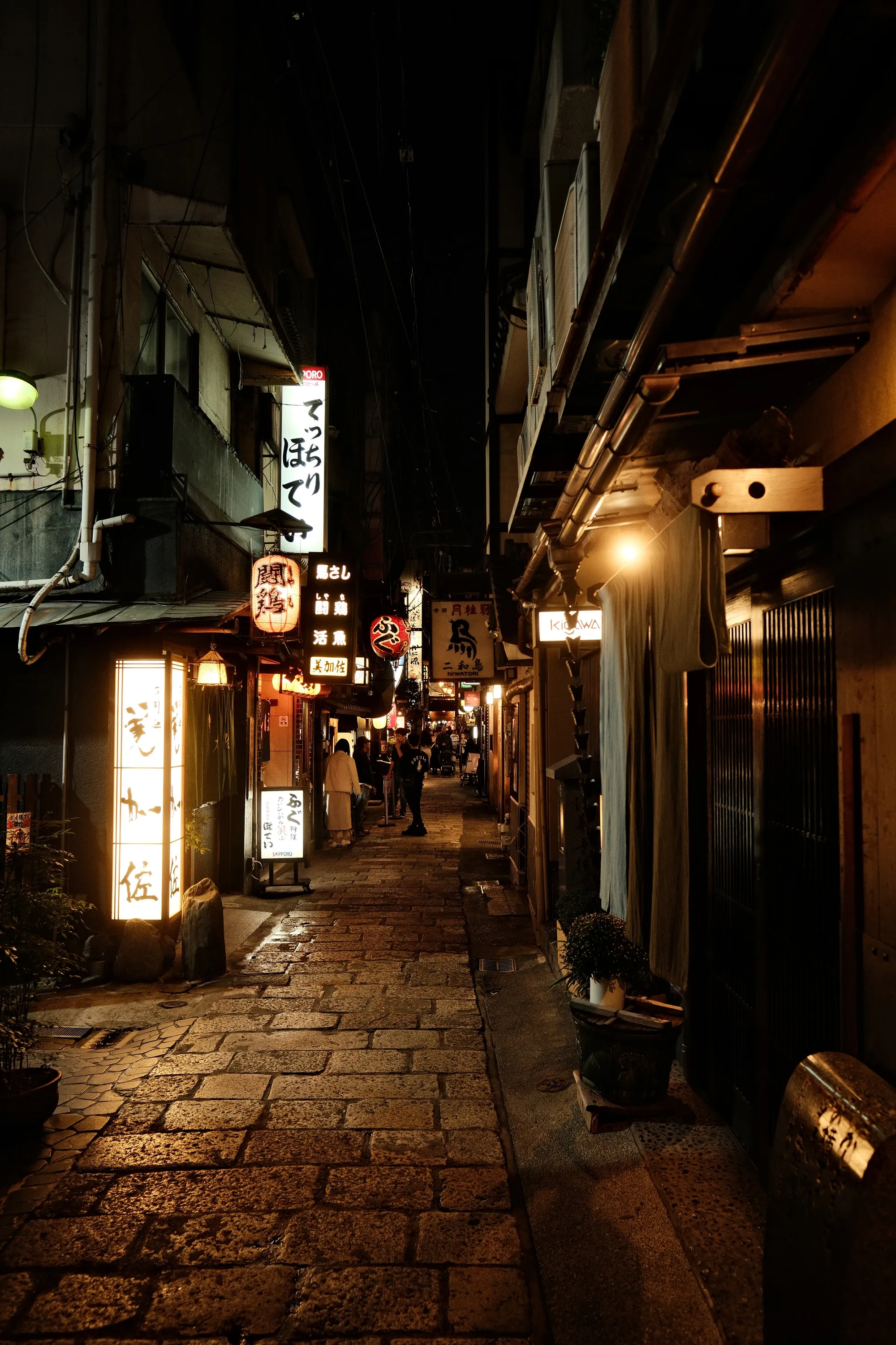 japan-2024, frame 191