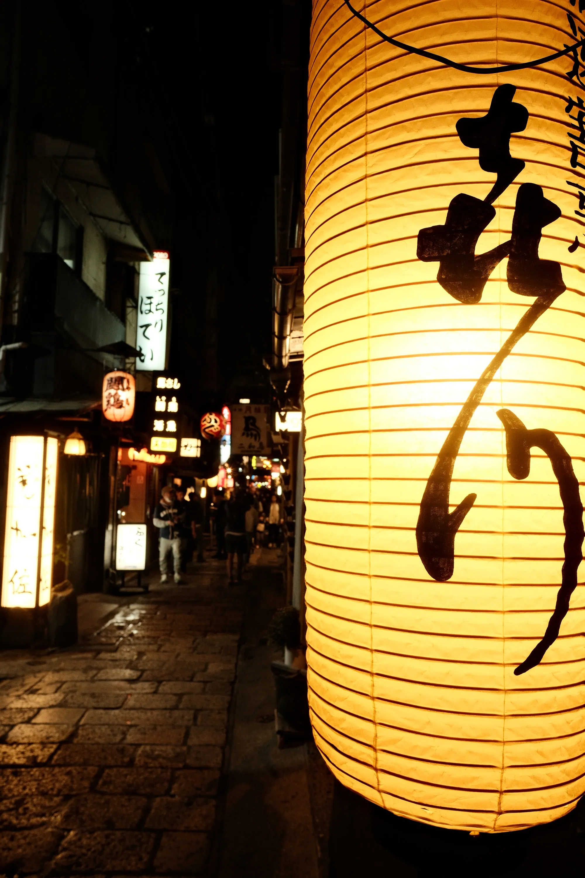 japan-2024, frame 192