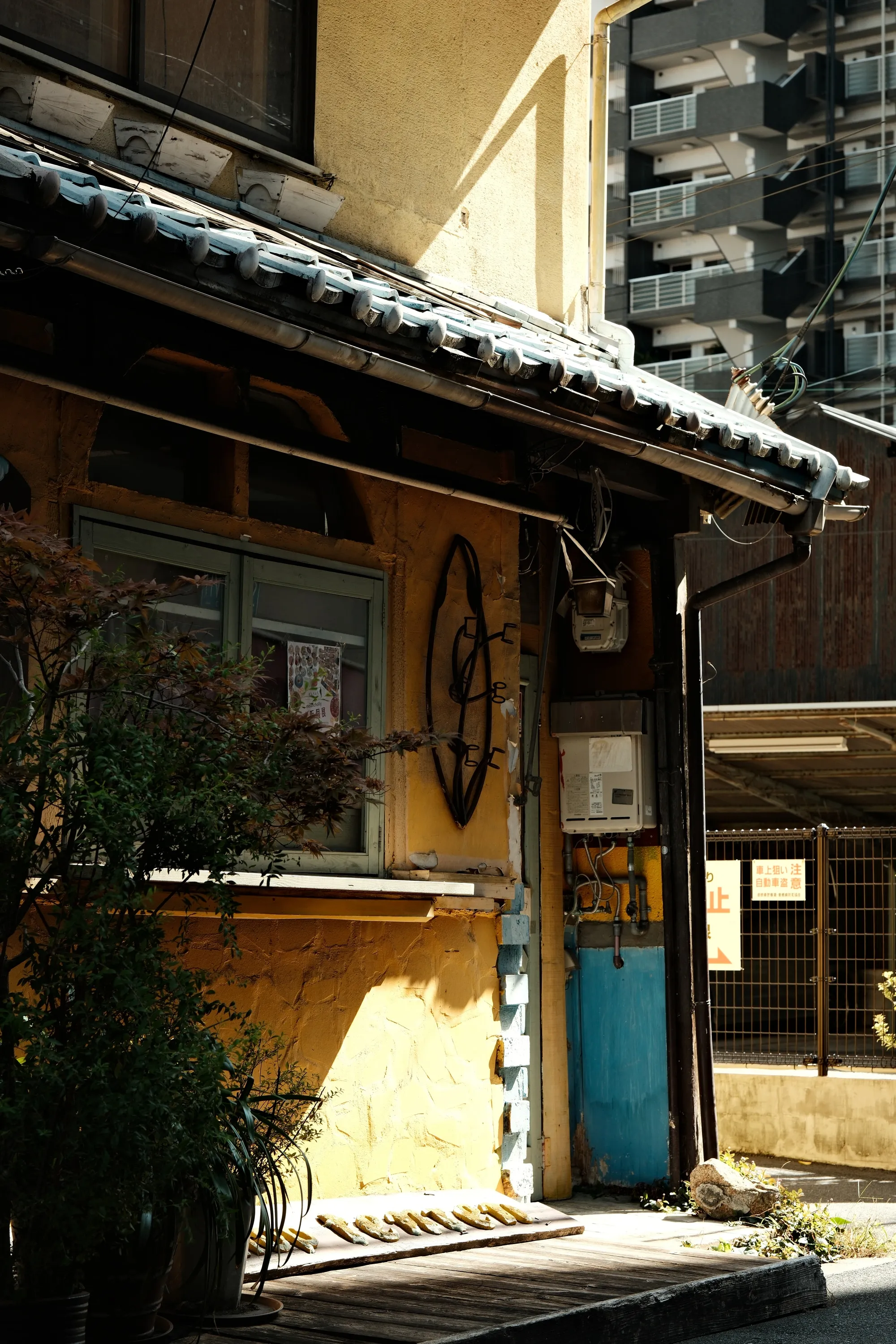 japan-2024, frame 210