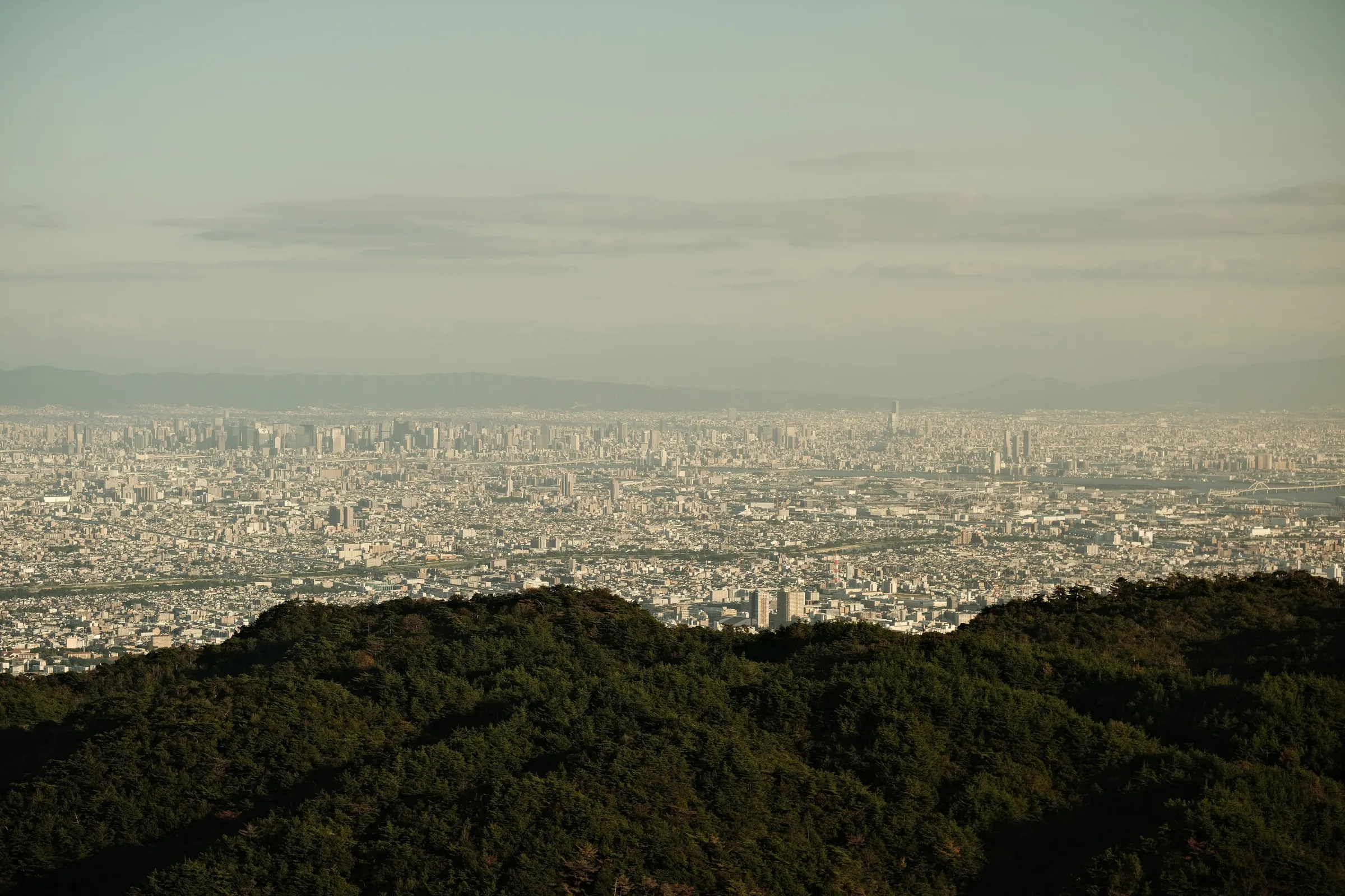 japan-2024, frame 217