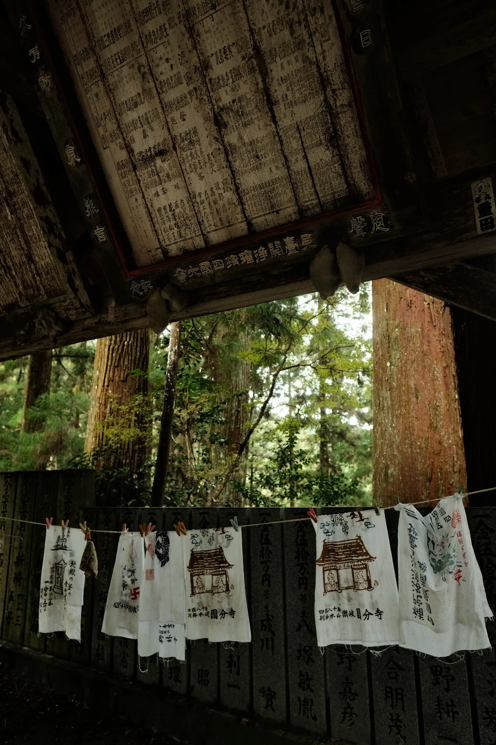 japan-2024, frame 335