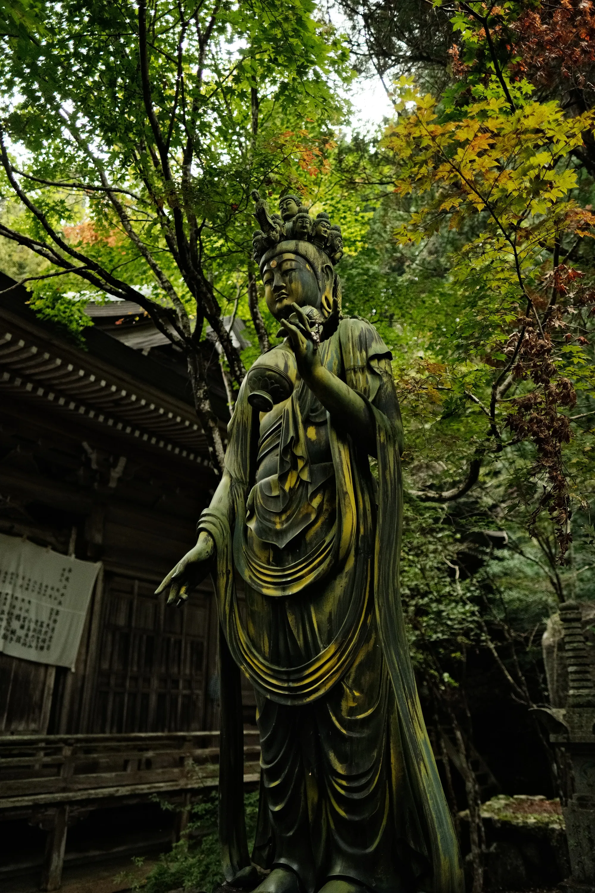 japan-2024, frame 338