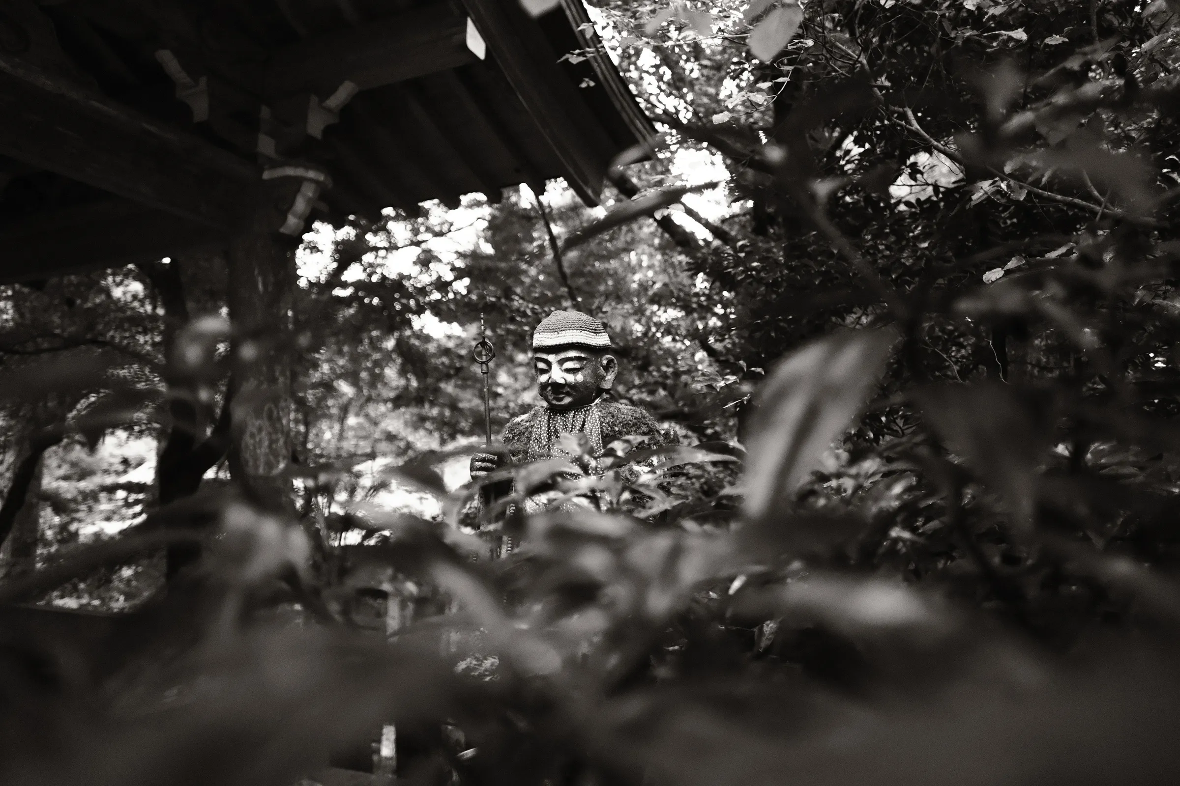 japan-2024, frame 339