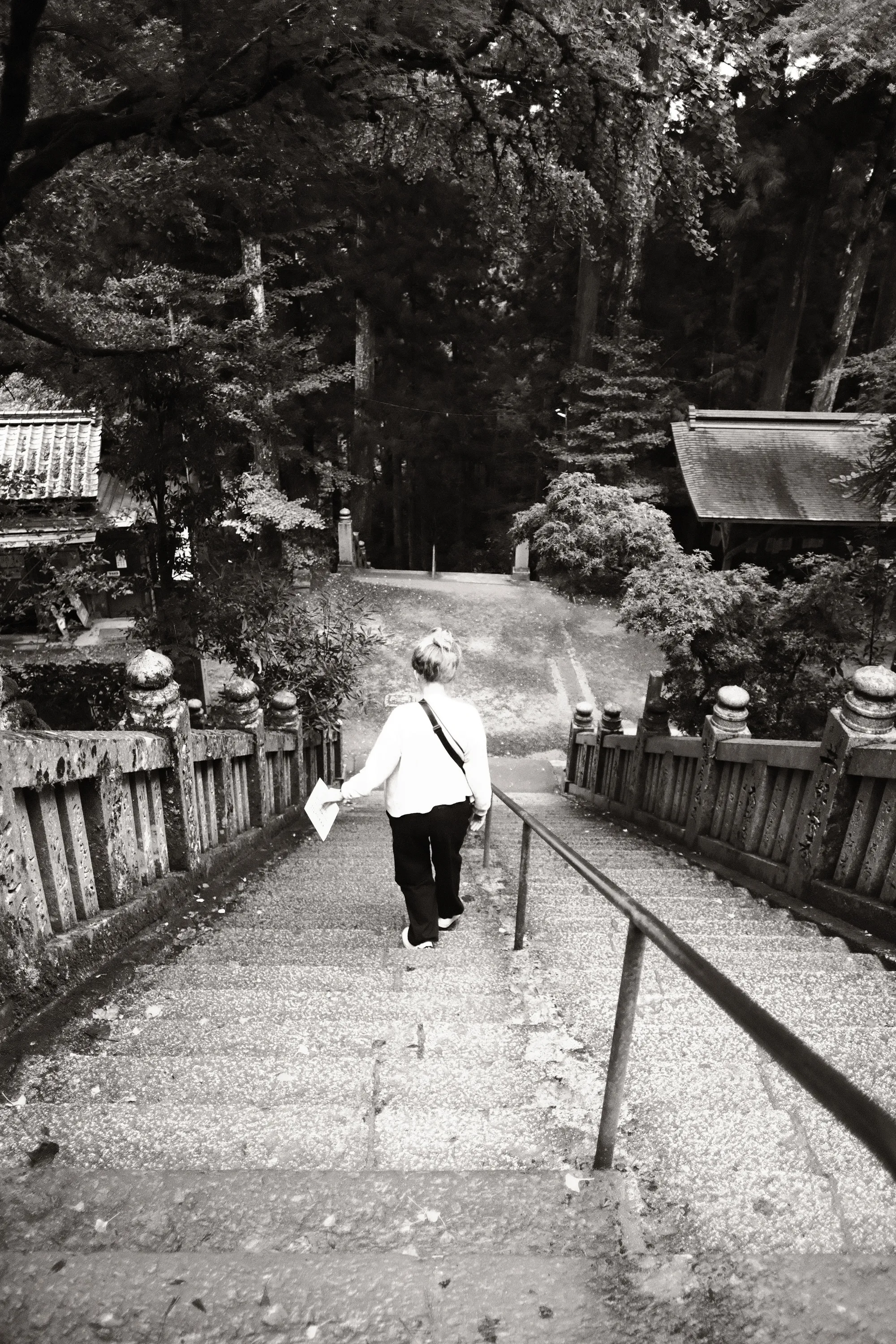 japan-2024, frame 340