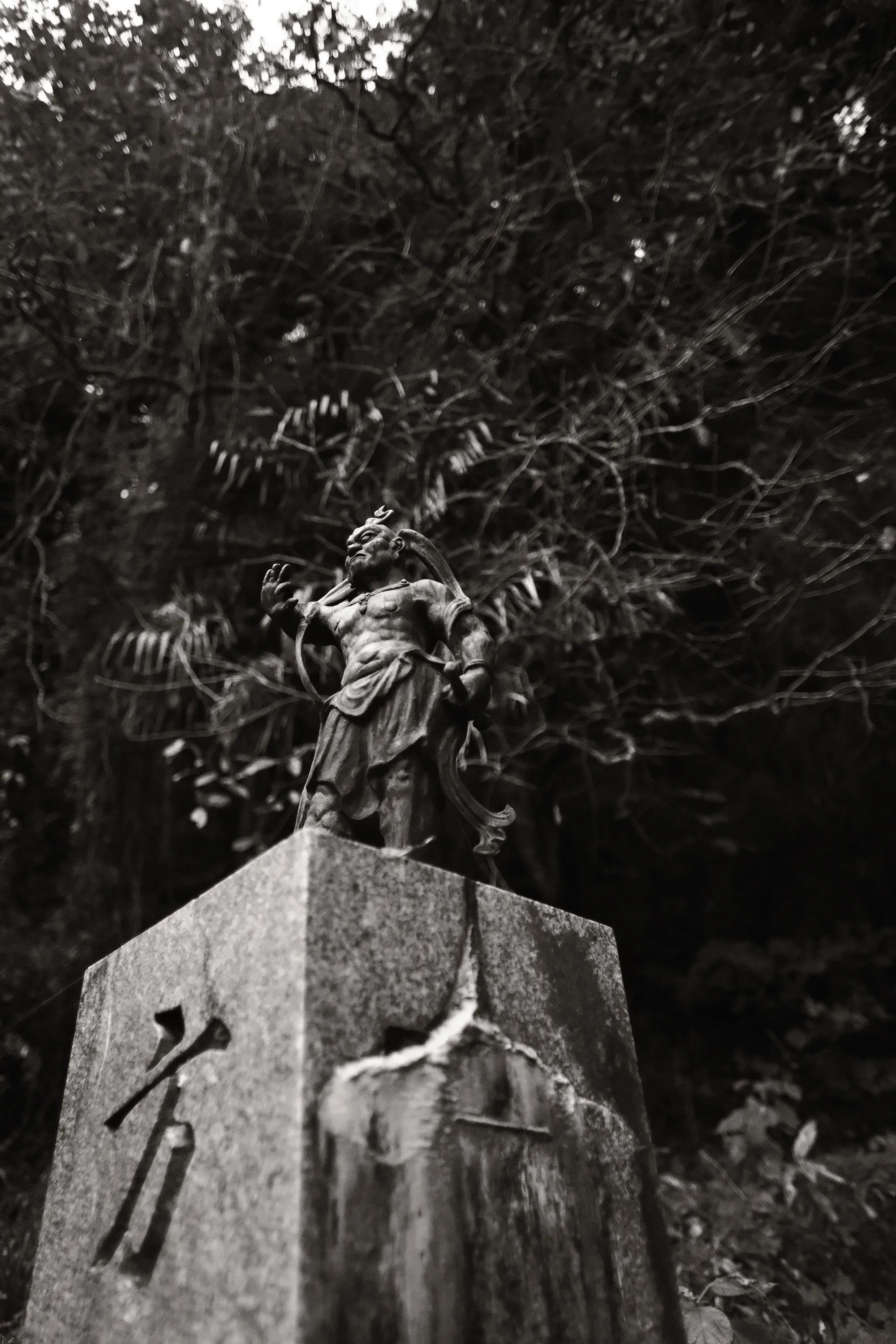 japan-2024, frame 343