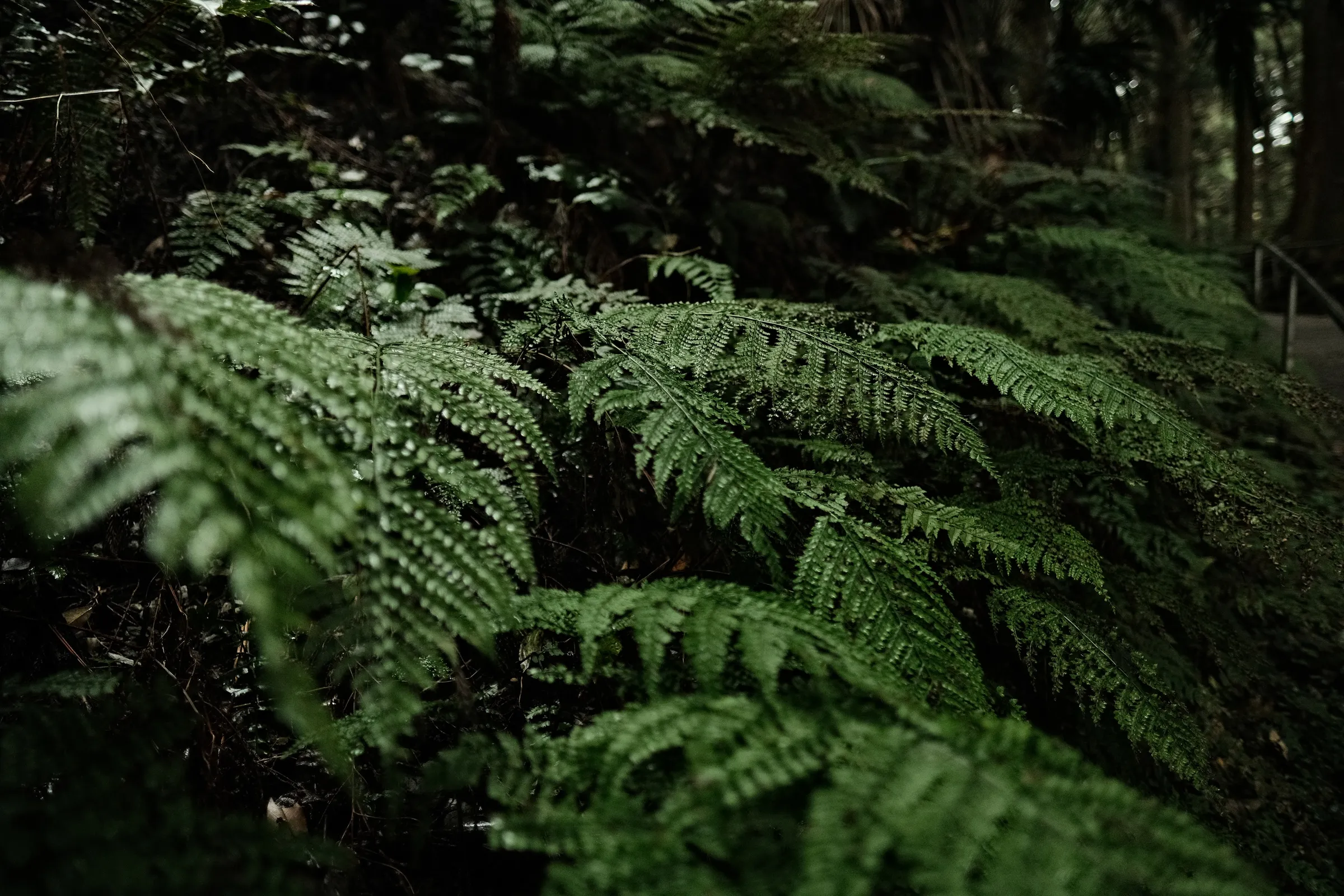 japan-2024, frame 344