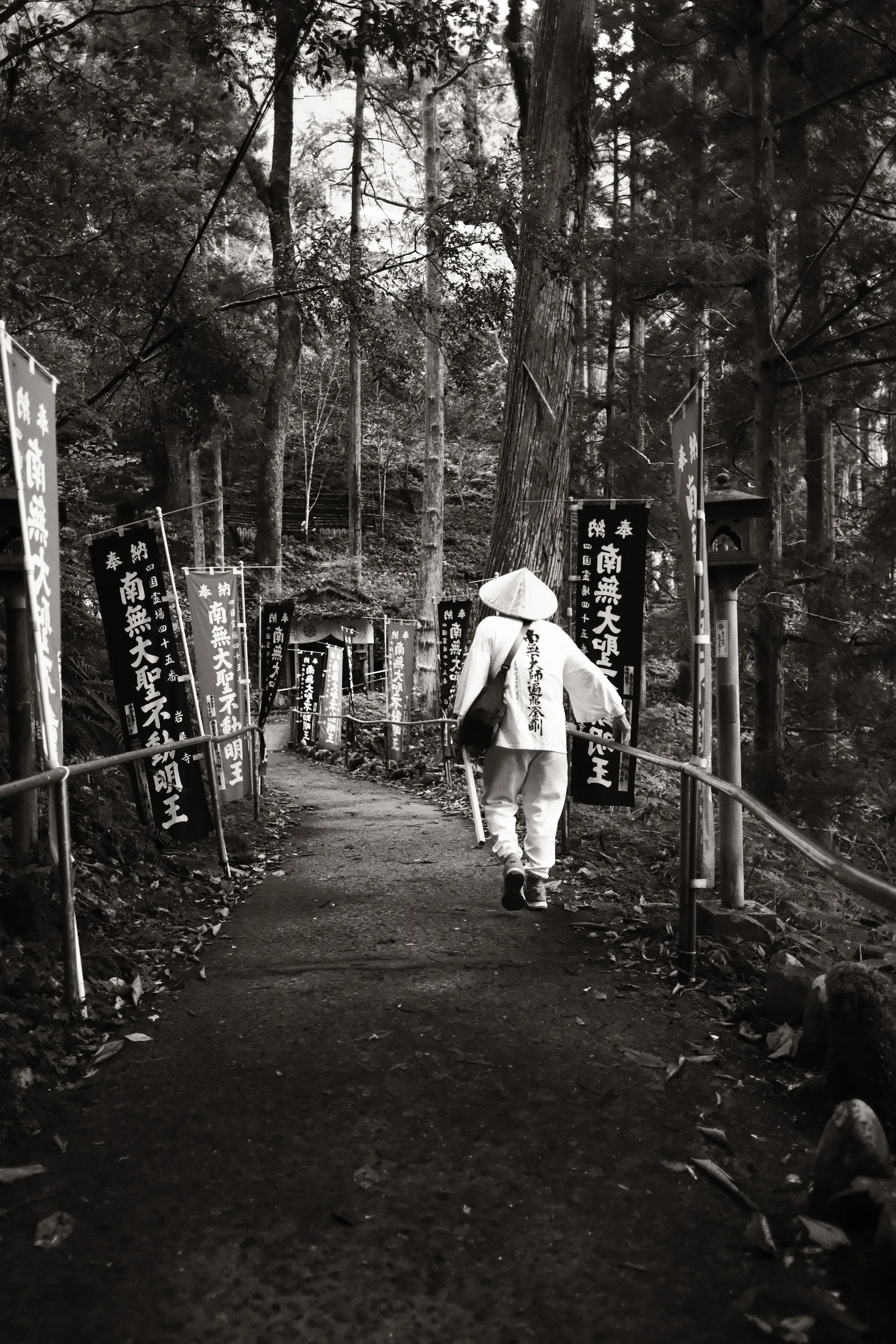 japan-2024, frame 346