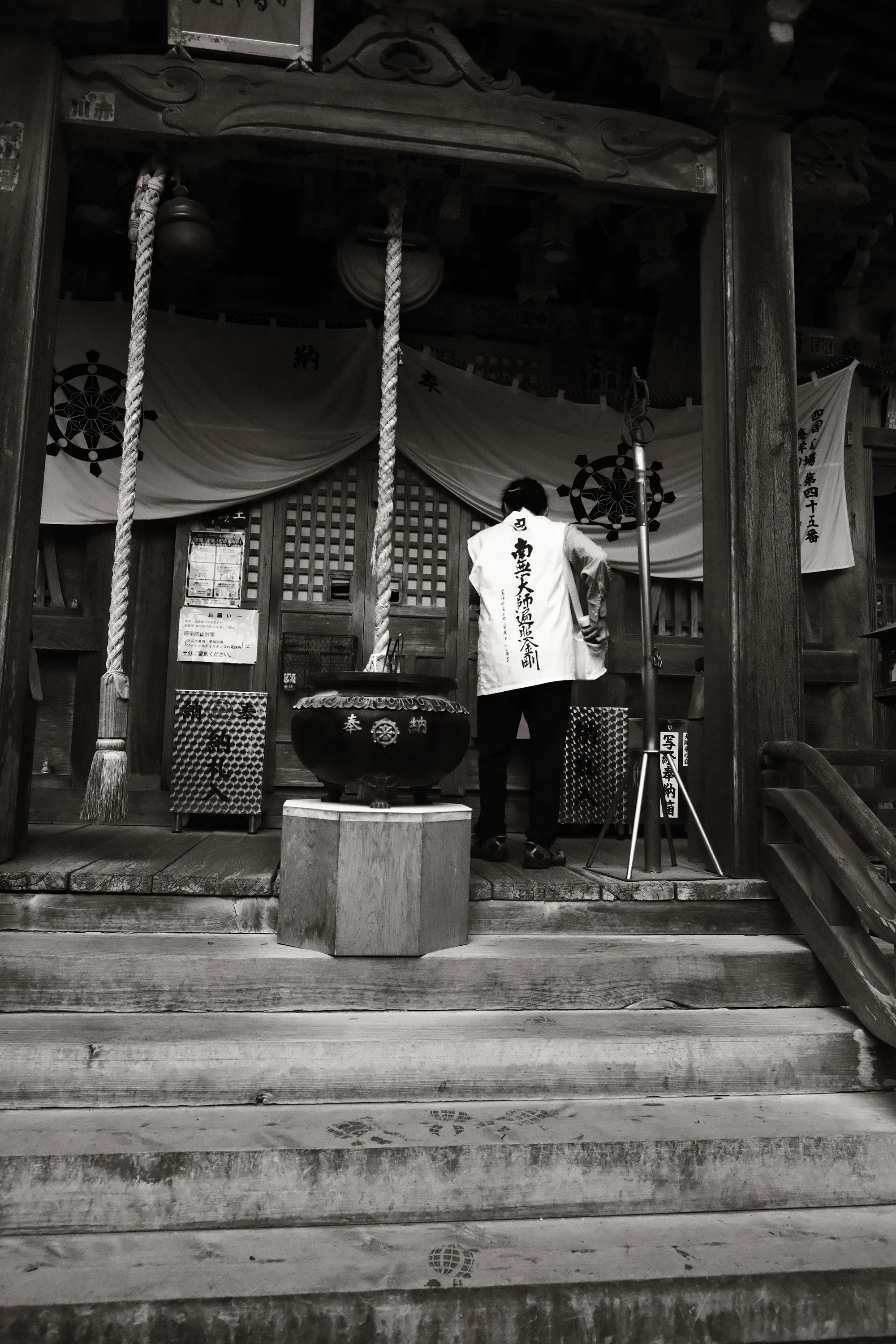 japan-2024, frame 349