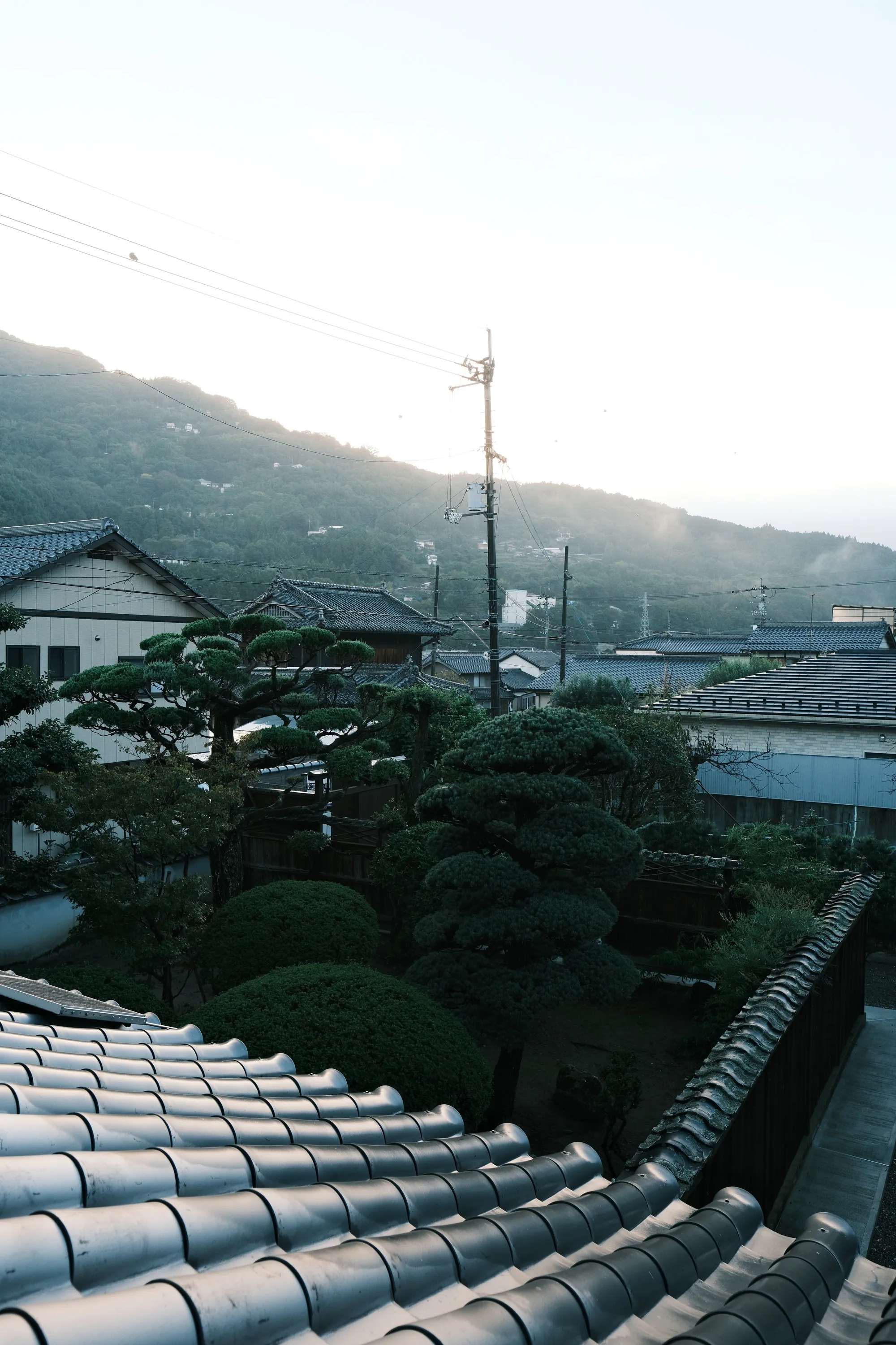 japan-2024, frame 351