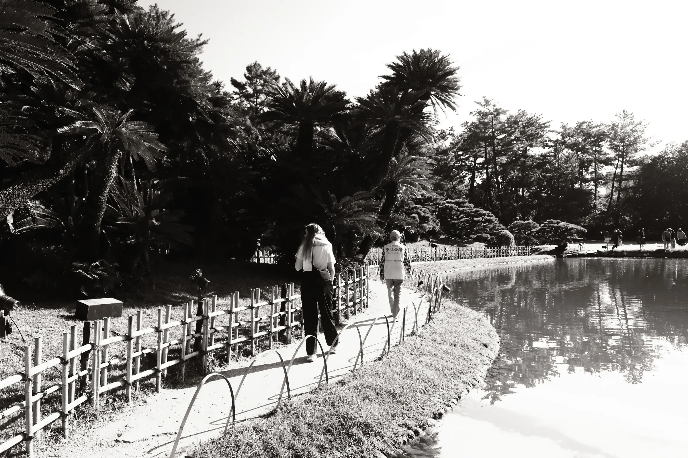 japan-2024, frame 355