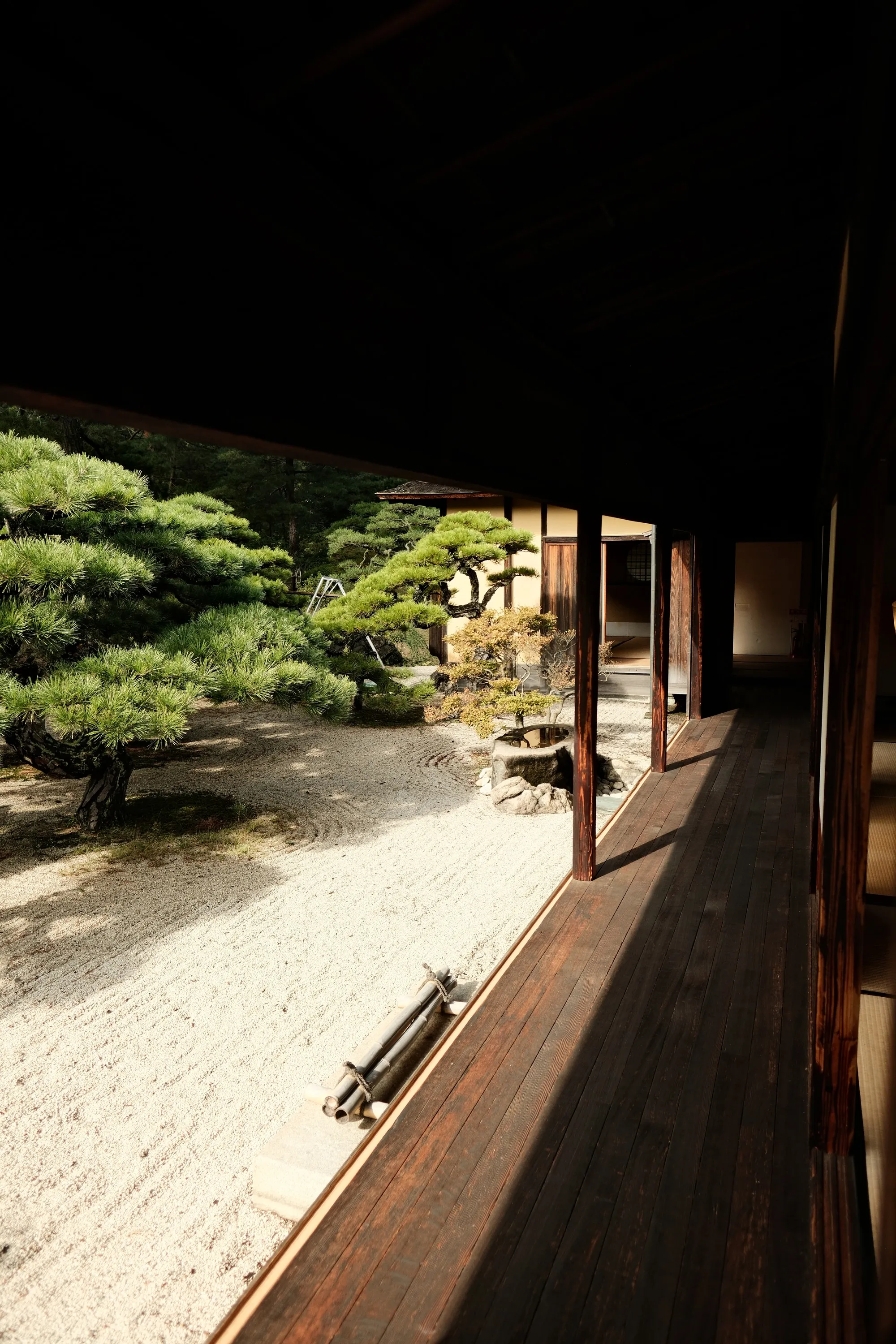 japan-2024, frame 358